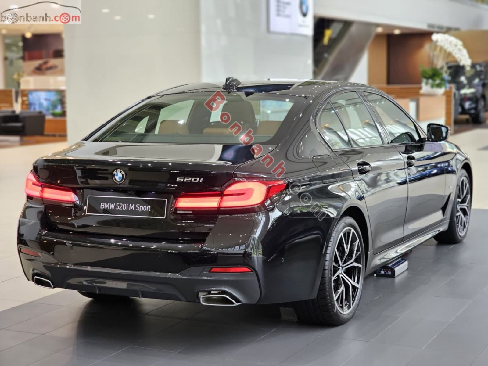 2023 BMW 5 Series 520i M Sport - ảnh nhỏ 3
