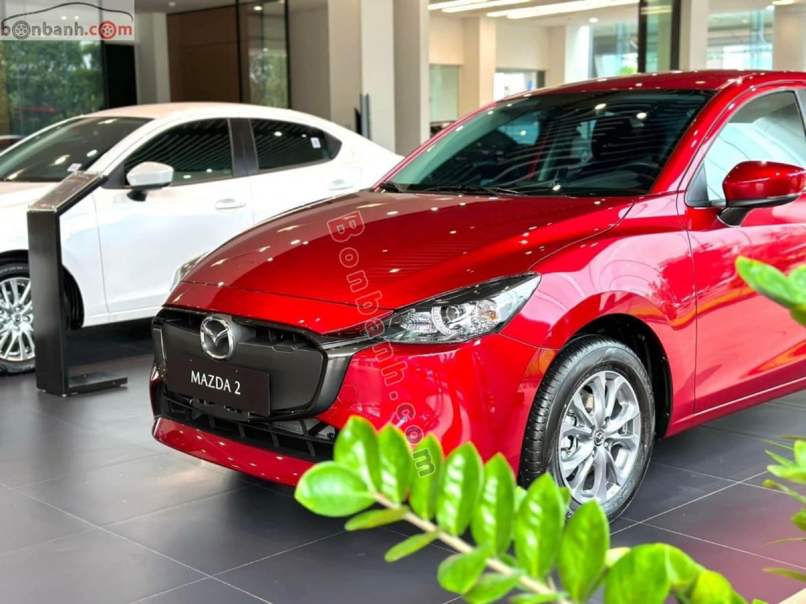 2026 Mazda 2 1.5 AT - ảnh nhỏ 2