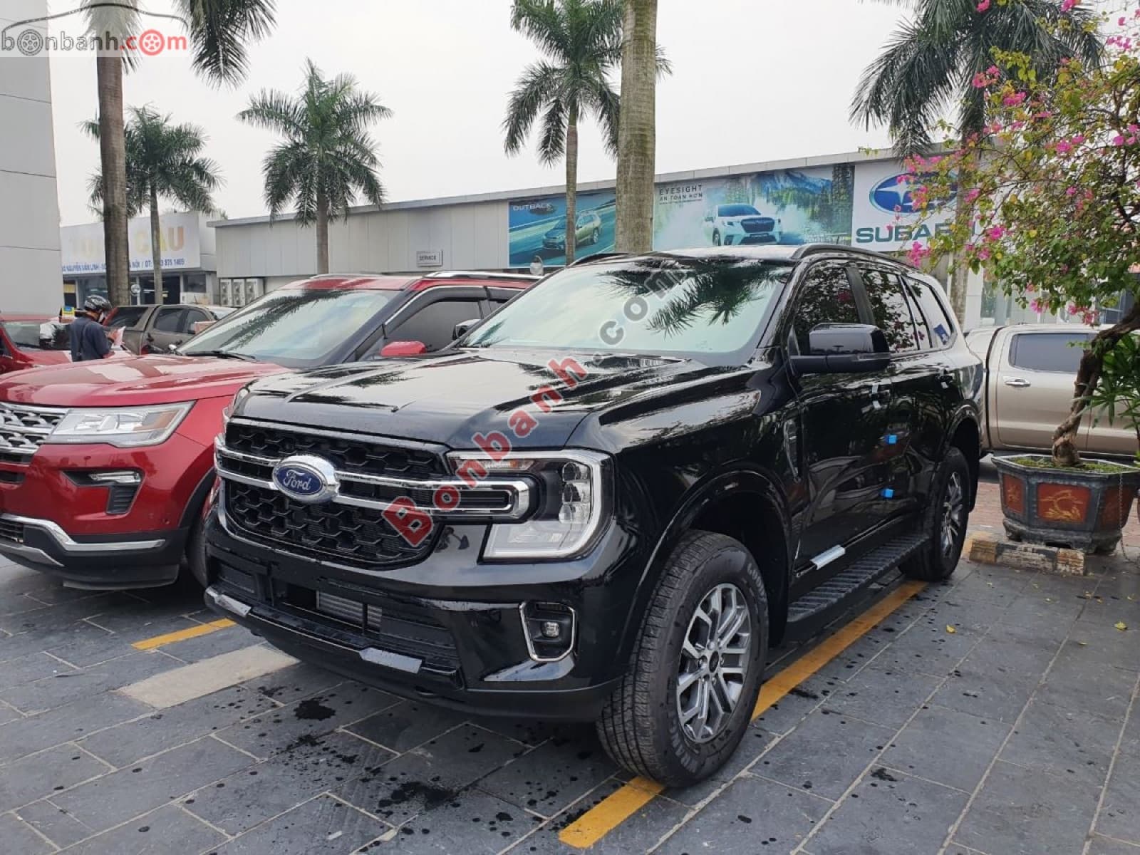 2026 Ford Everest Ambiente 2.0L 4x2 AT