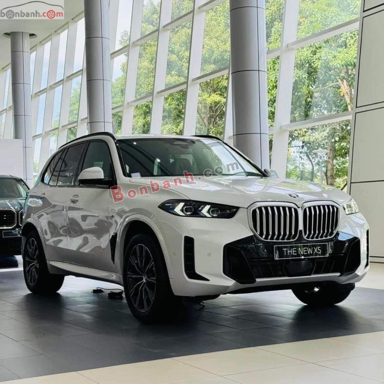 2025 BMW X5 xDrive40i M Sport