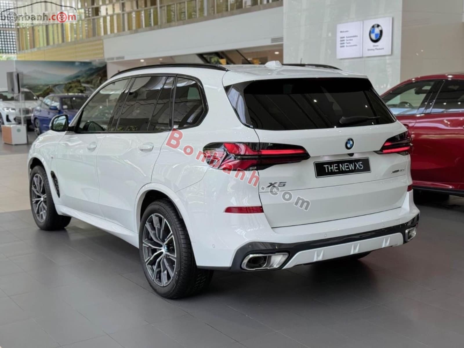 2025 BMW X5 xDrive40i M Sport - ảnh nhỏ 2