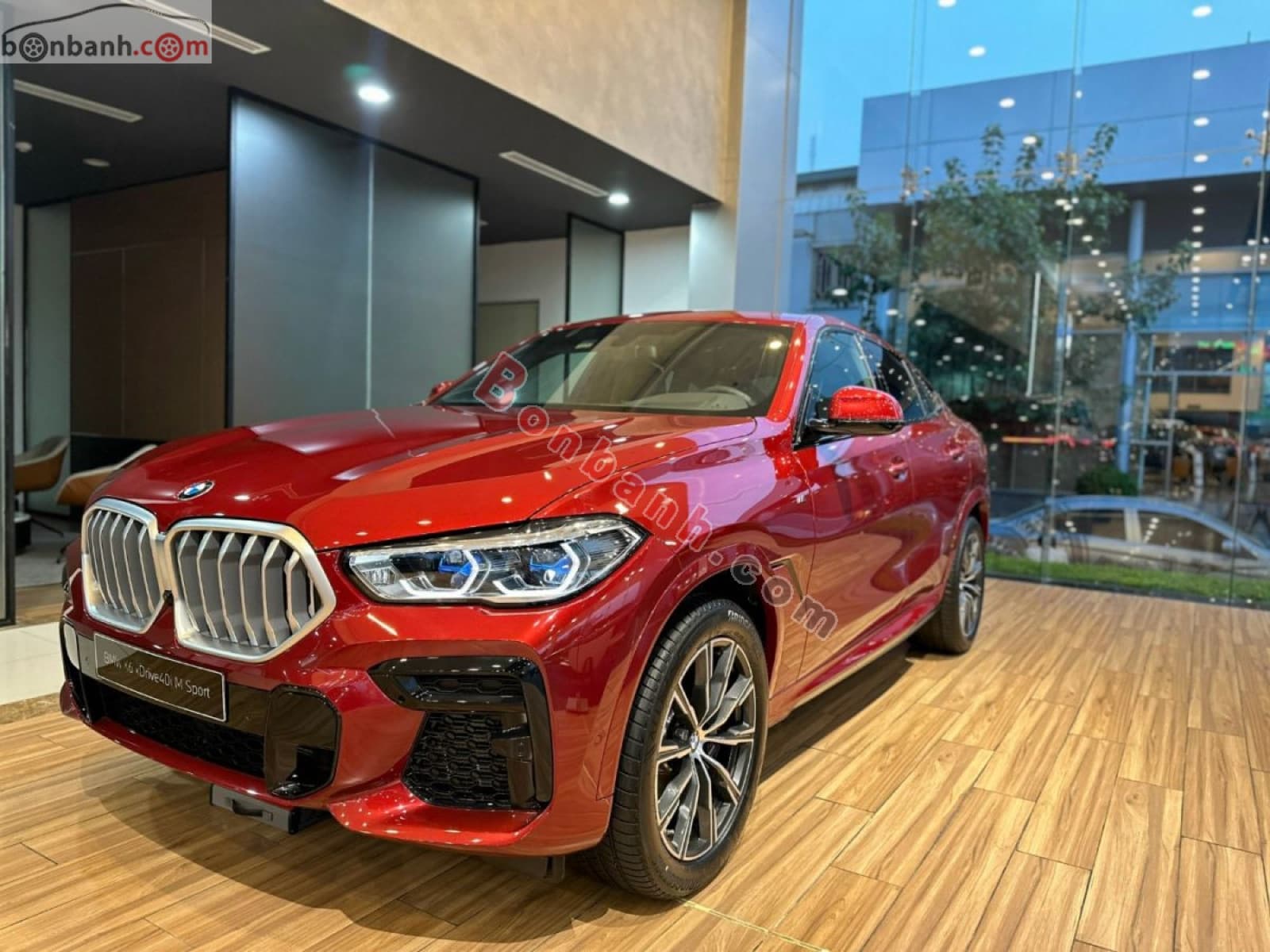 2023 BMW X6 xDrive40i M Sport - ảnh nhỏ 3