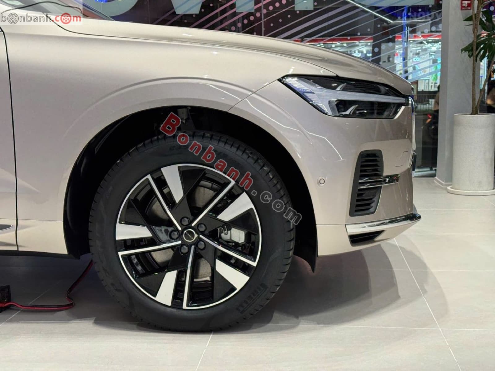 2025 Volvo XC60 Plug-in Hybrid Ultra T8 AWD - ảnh nhỏ 3