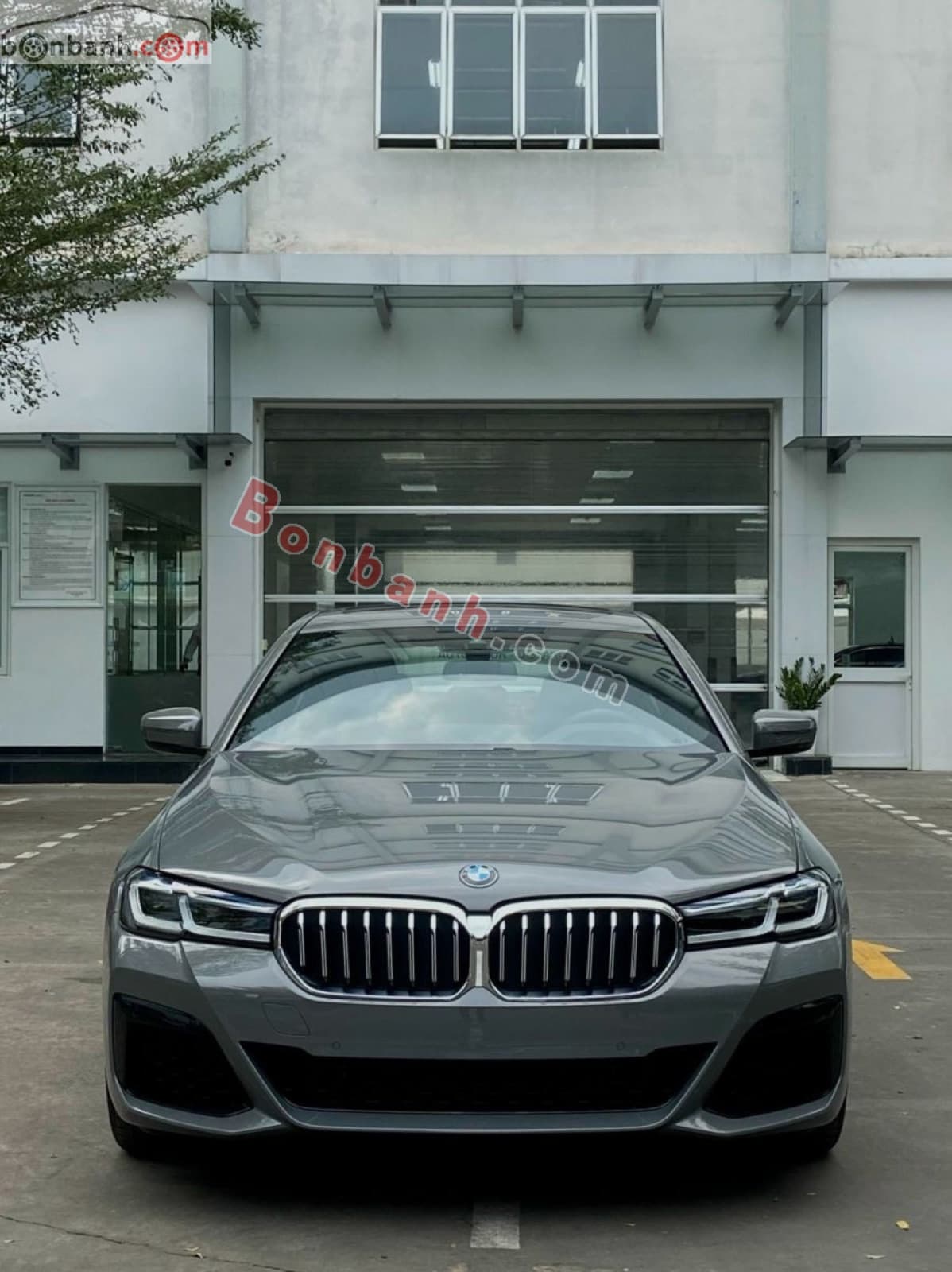 2022 BMW 5 Series 530i M Sport