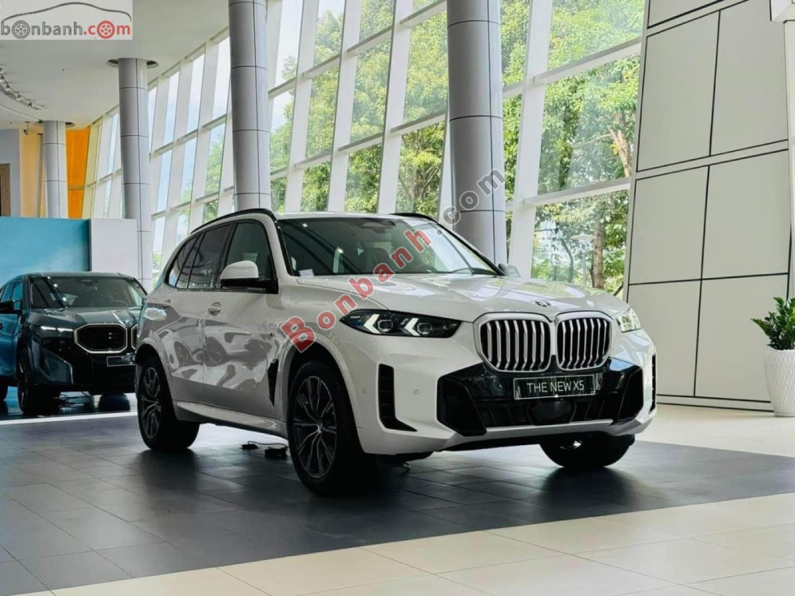 2025 BMW X5 xDrive40i M Sport