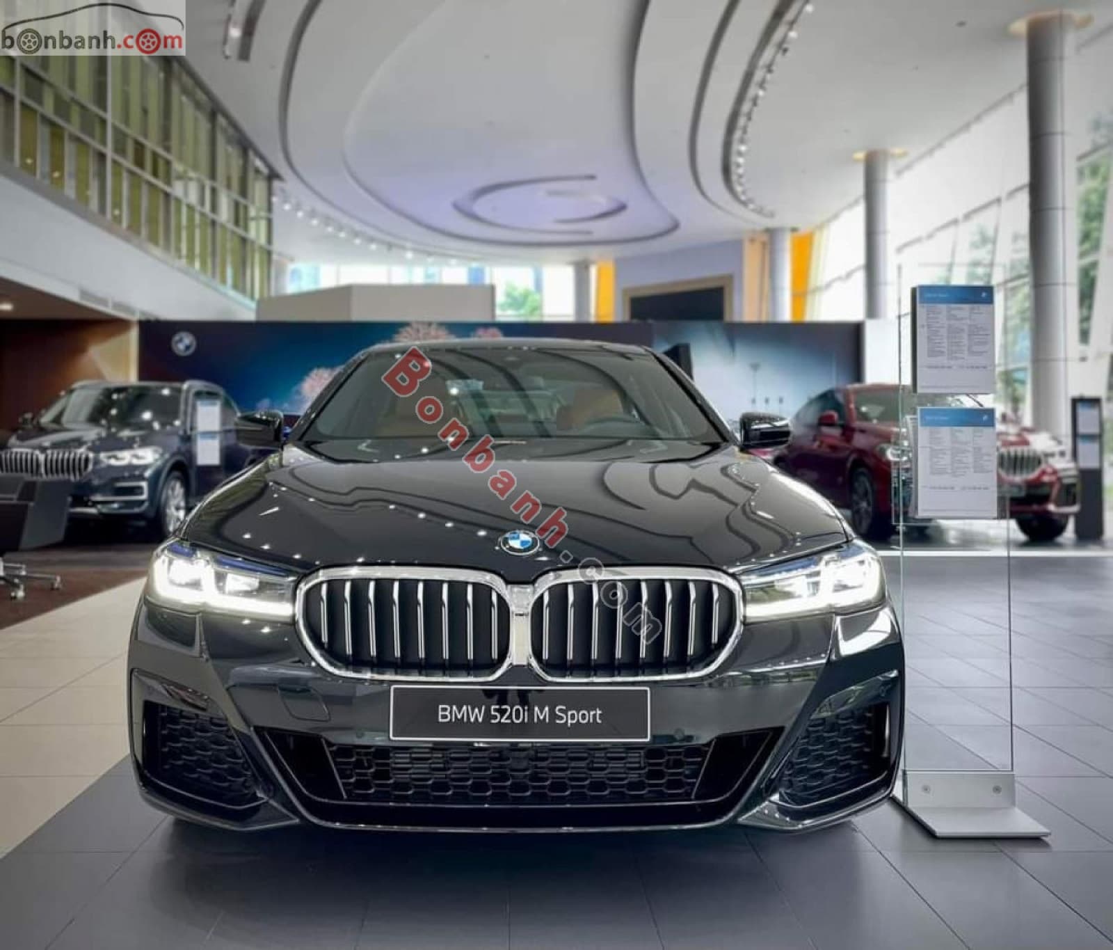 2023 BMW 5 Series 520i M Sport