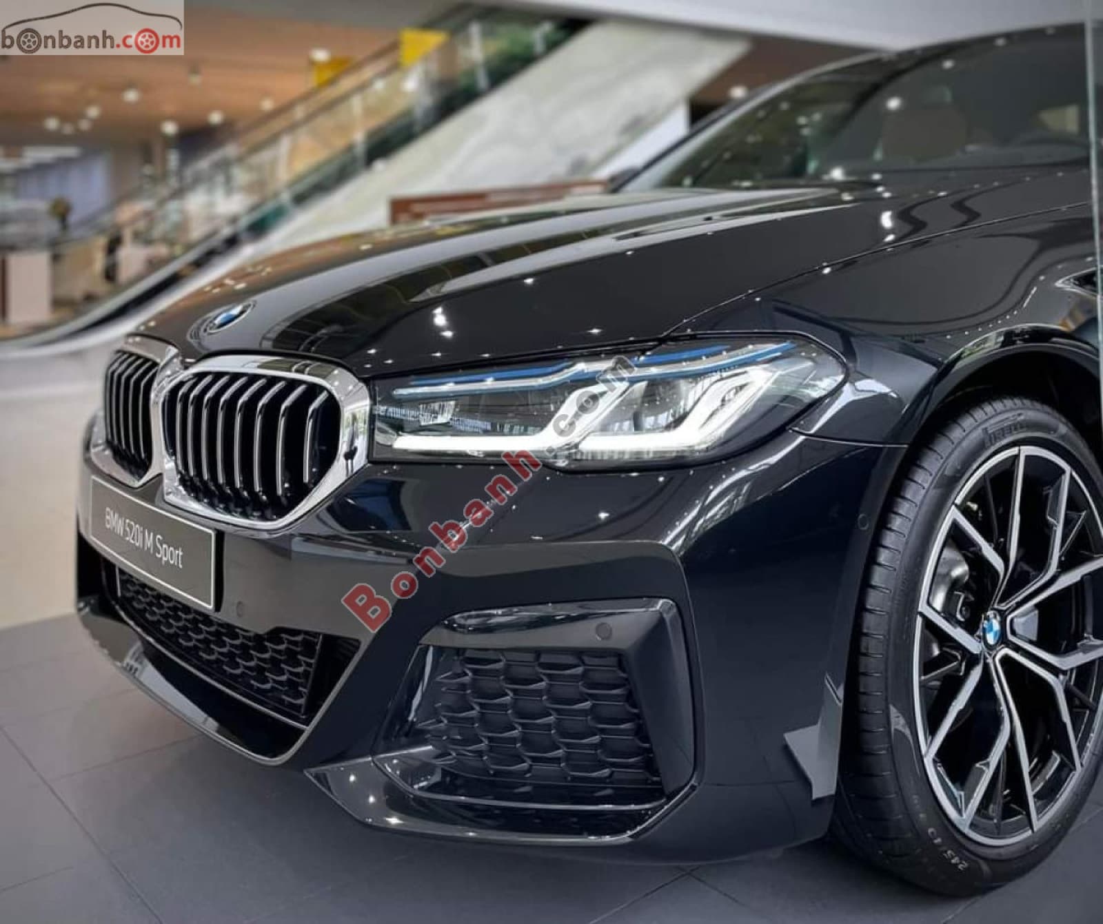 2023 BMW 5 Series 520i M Sport - ảnh nhỏ 2