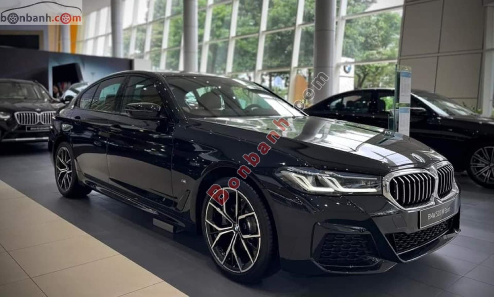 2023 BMW 5 Series 520i M Sport - ảnh nhỏ 4