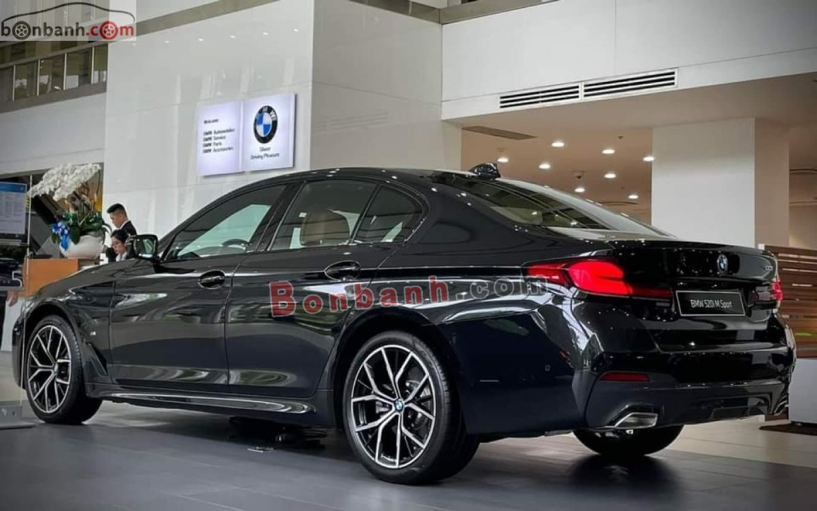 2023 BMW 5 Series 520i M Sport - ảnh nhỏ 6