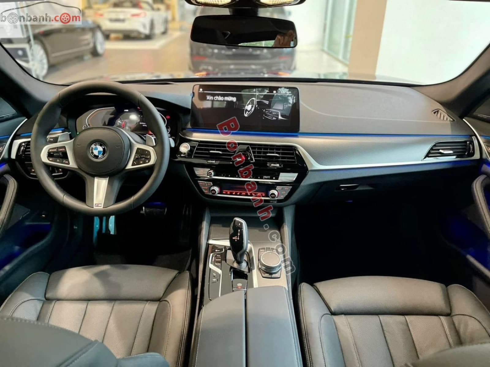 2023 BMW 5 Series 520i M Sport - ảnh nhỏ 8