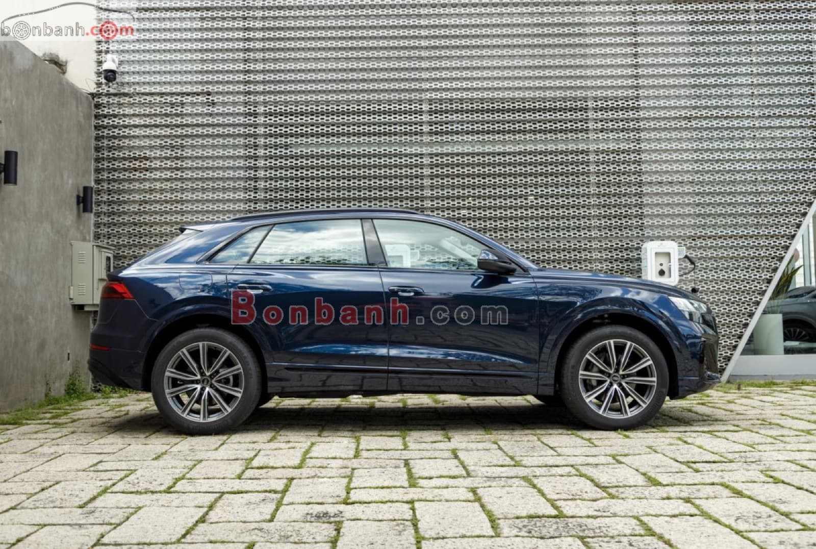 2026 Audi Q8 55 TFSI S-Line Quattro - ảnh nhỏ 2