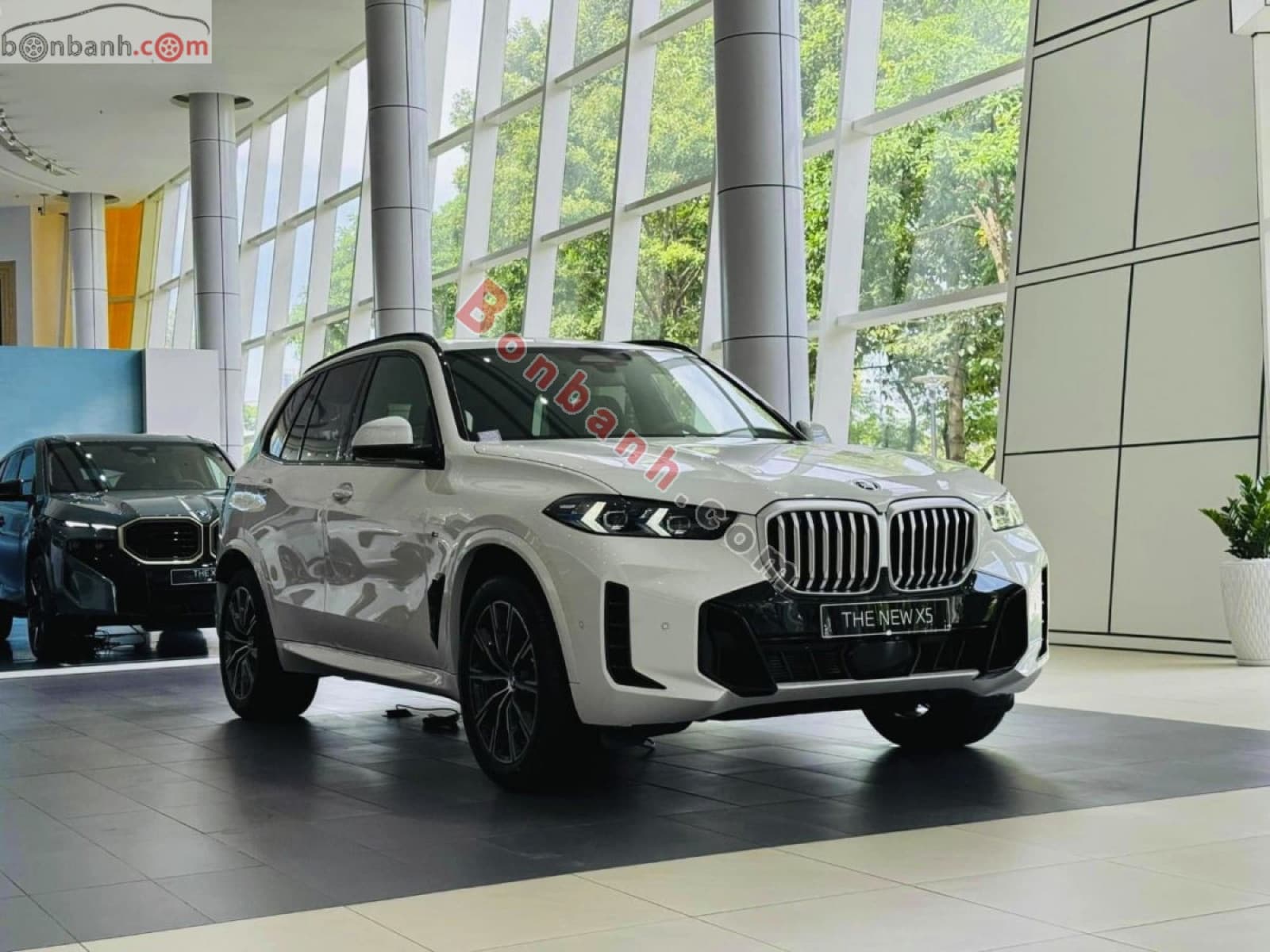 2025 BMW X5 xDrive40i M Sport - ảnh nhỏ 2