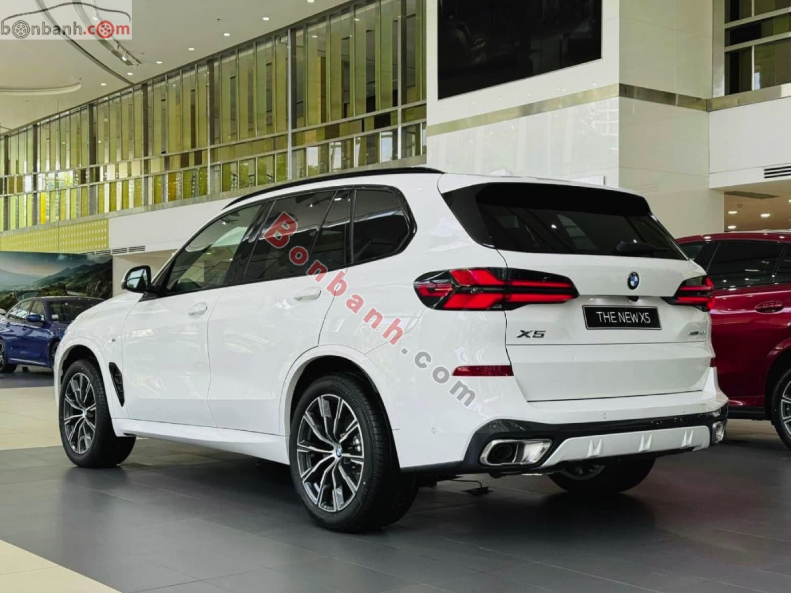 2025 BMW X5 xDrive40i M Sport - ảnh nhỏ 3