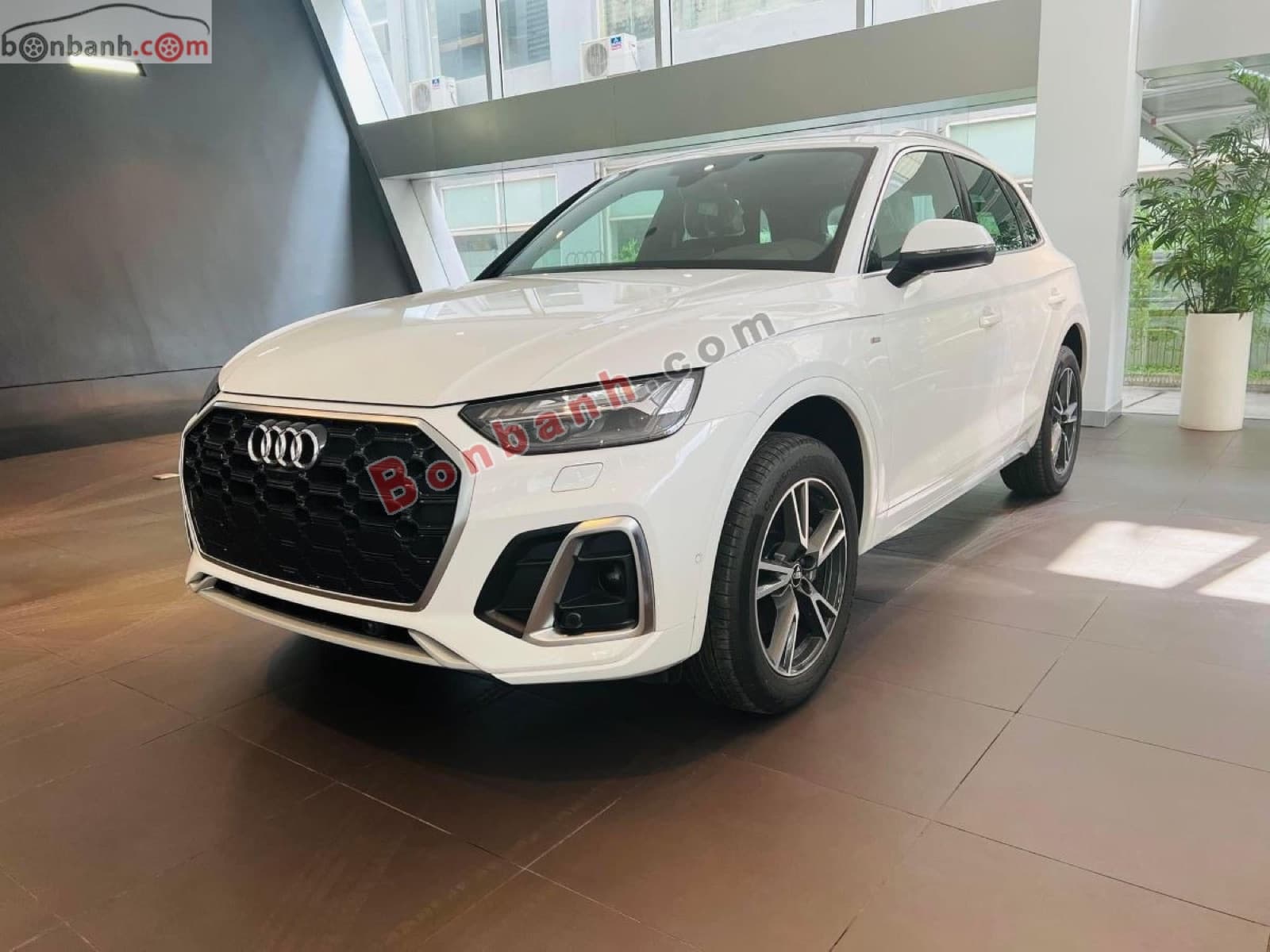 2024 Audi Q5 Sline 45 TFSI Quattro