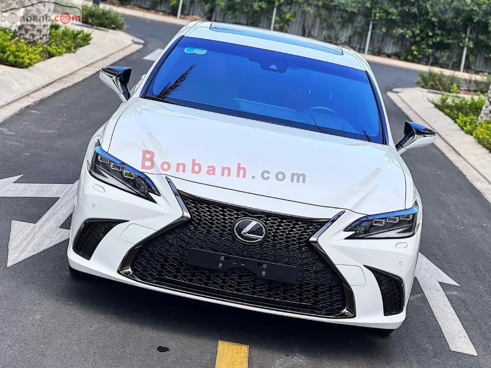 2022 Lexus ES 250 F Sport