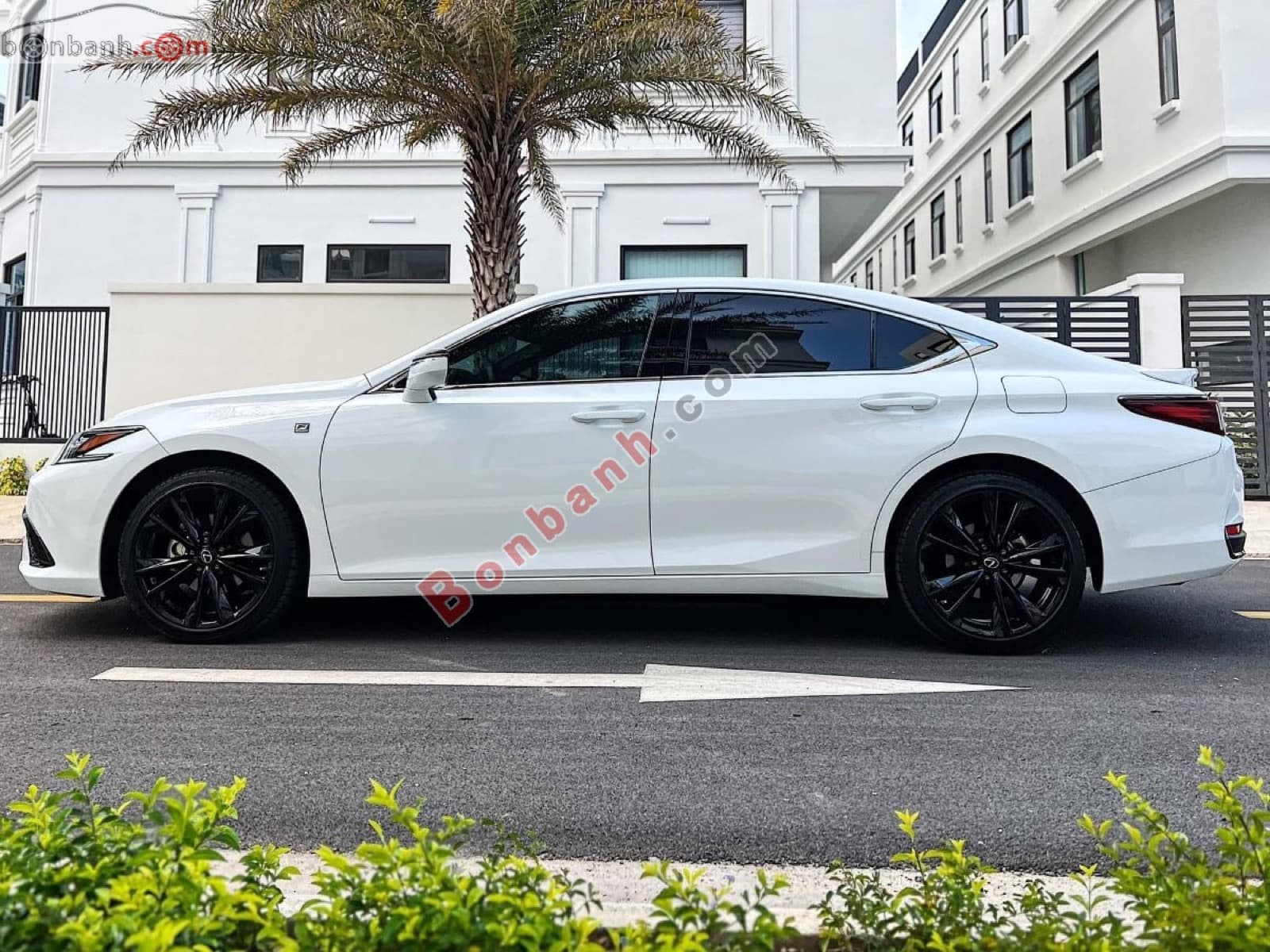 2022 Lexus ES 250 F Sport - ảnh nhỏ 3