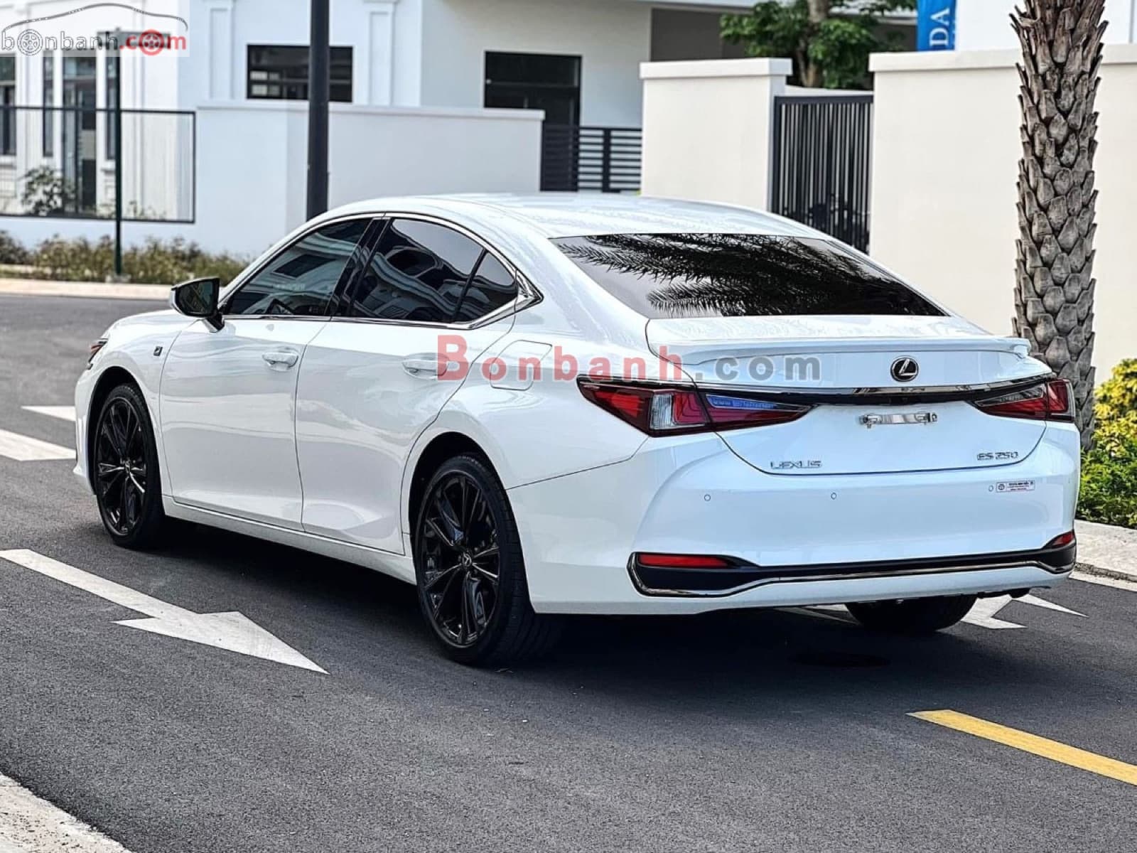2022 Lexus ES 250 F Sport - ảnh nhỏ 4