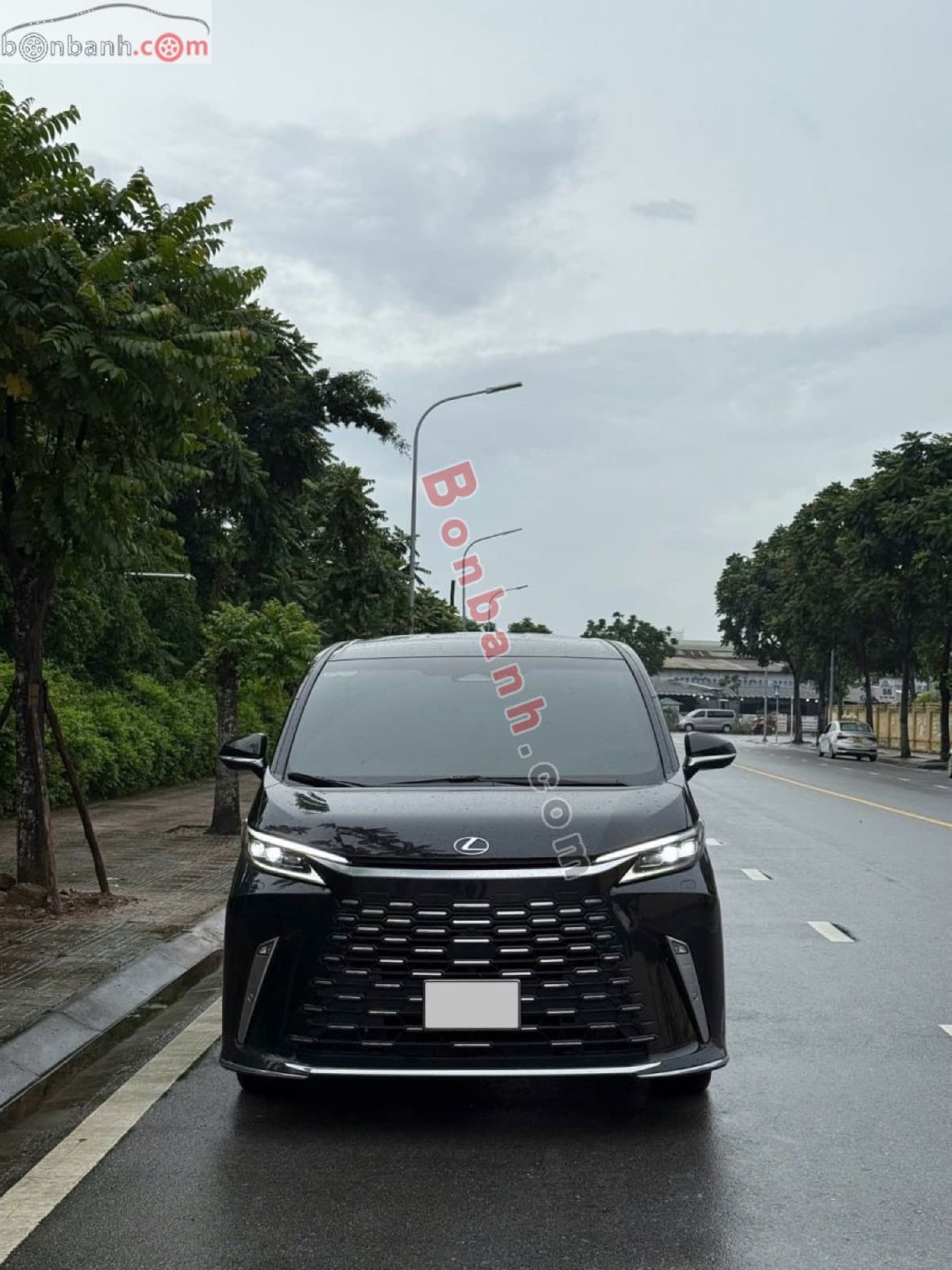 2025 Lexus LM 500h