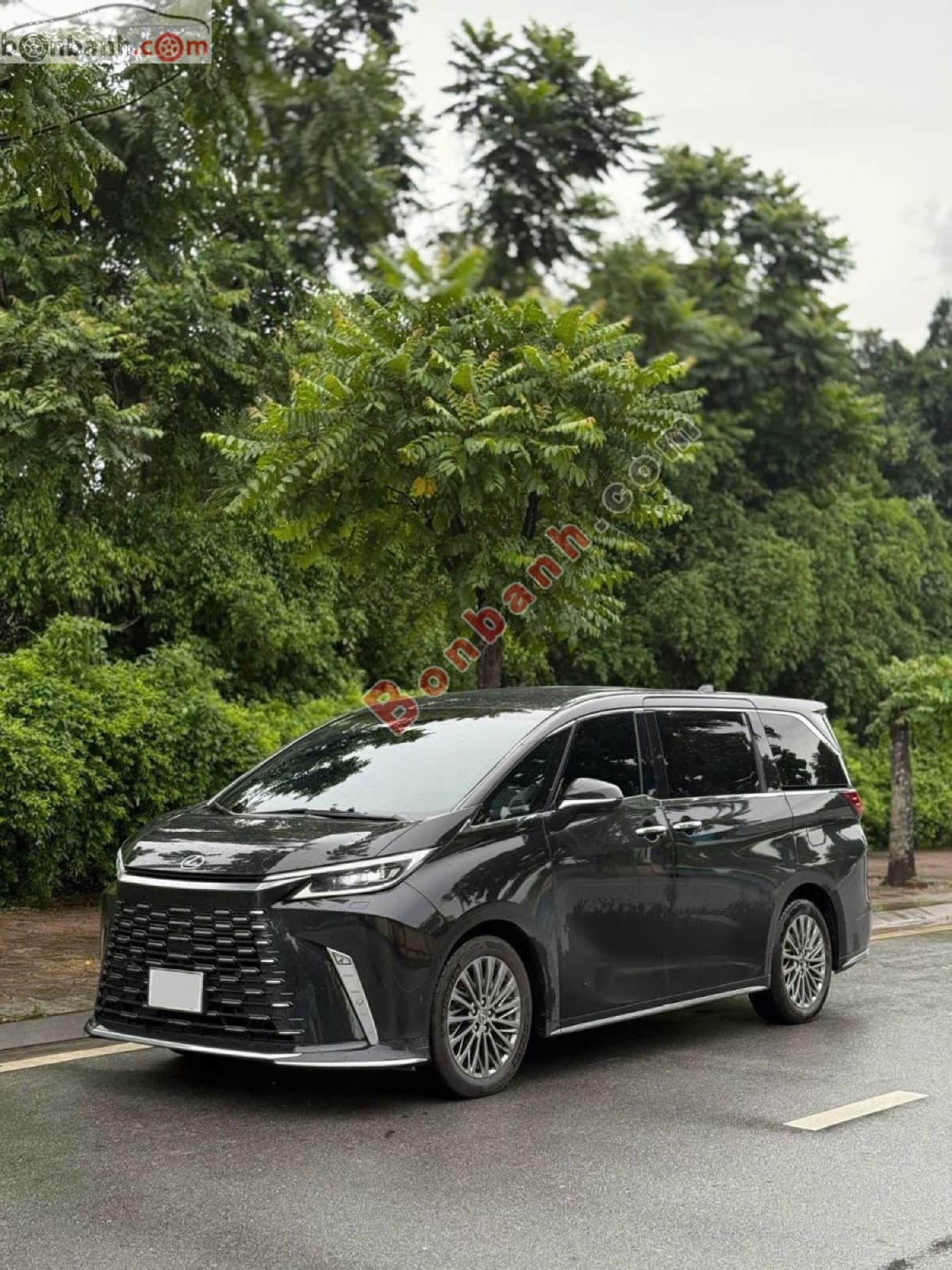 2025 Lexus LM 500h - ảnh nhỏ 2