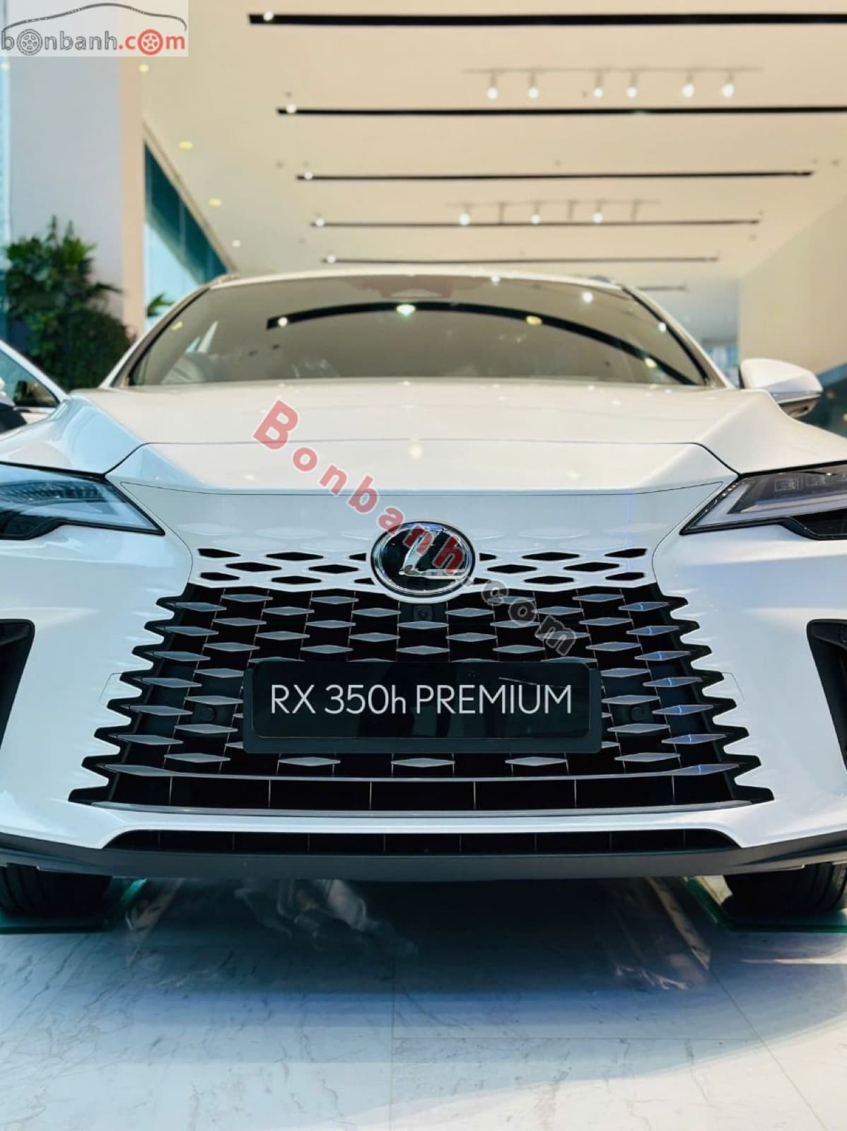 2026 Lexus RX 350h Premium