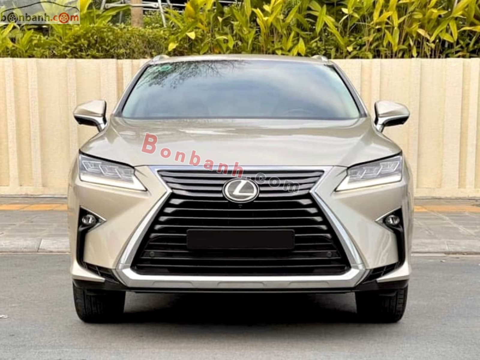 2018 Lexus RX 300