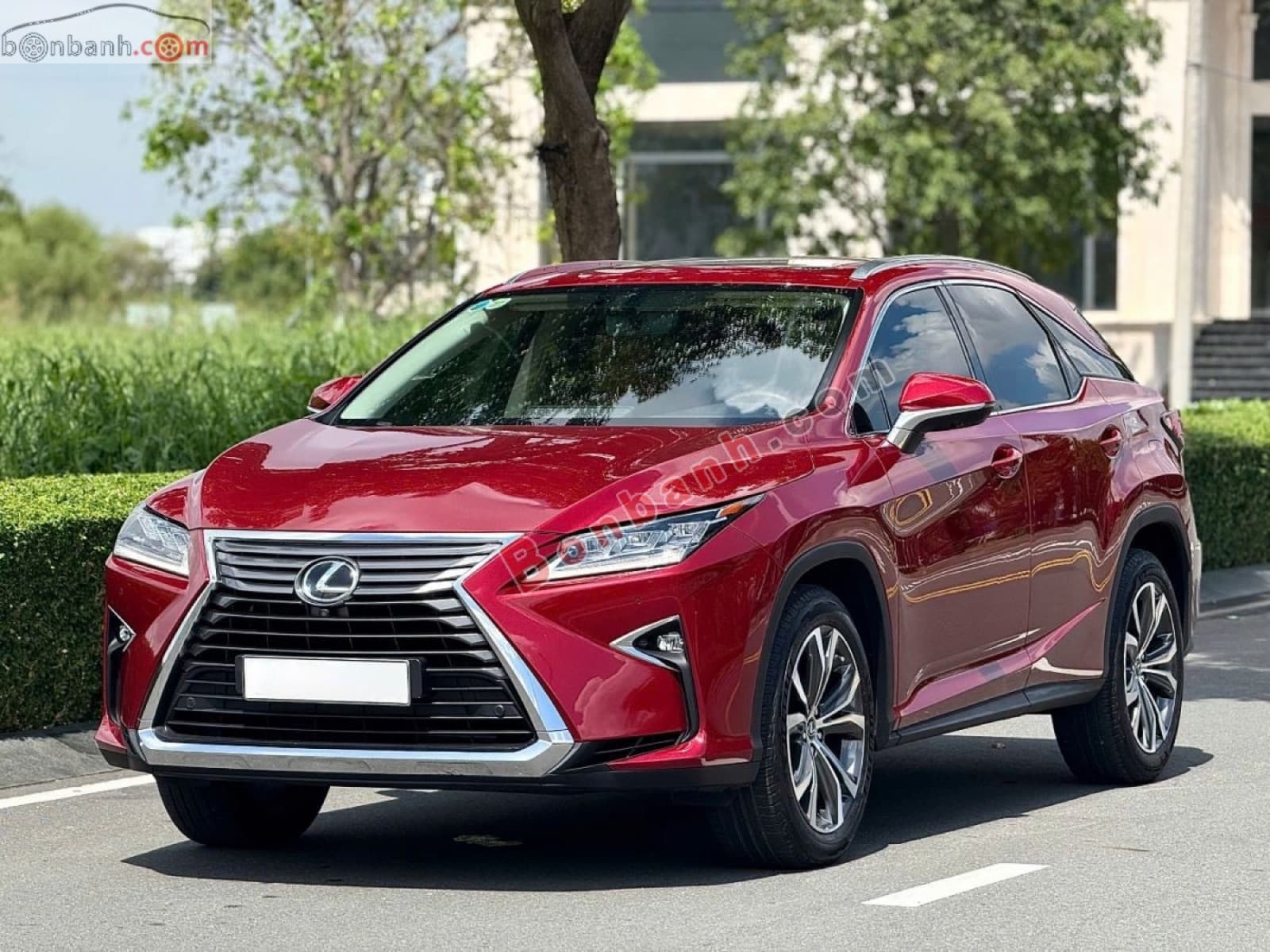 2019 Lexus RX 350 - ảnh nhỏ 3