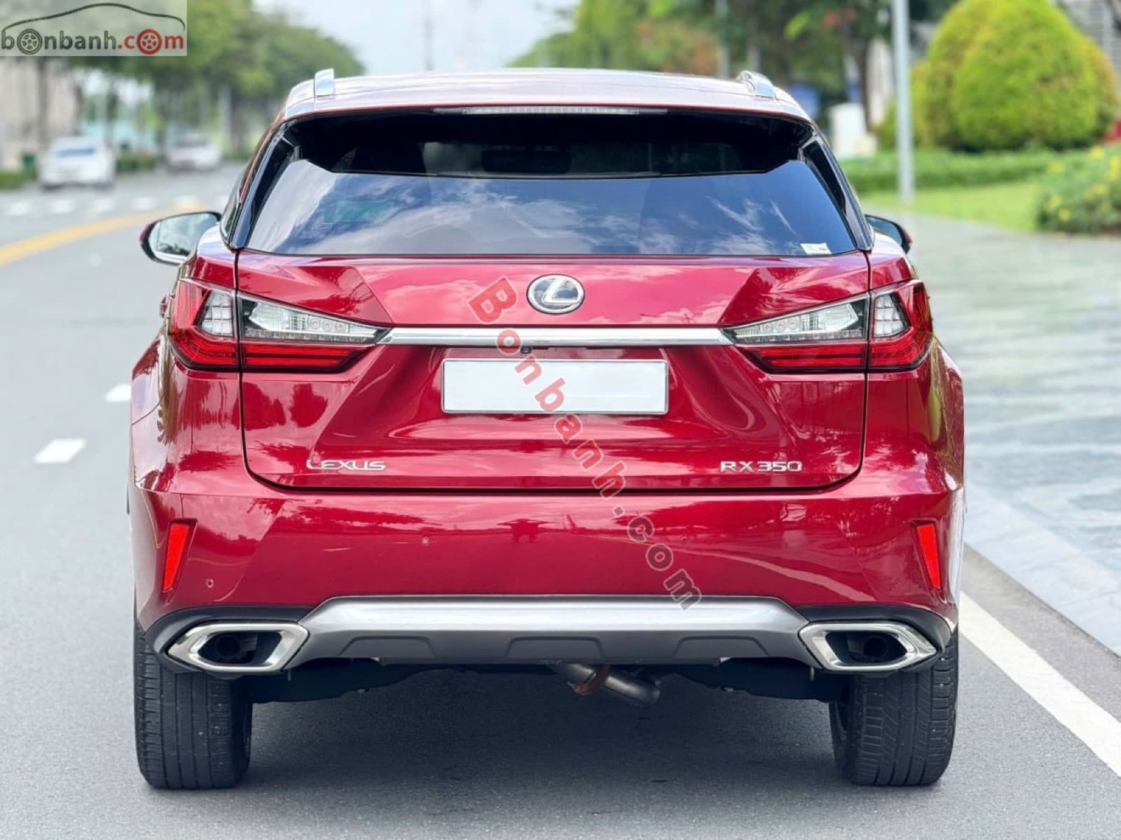 2019 Lexus RX 350 - ảnh nhỏ 5