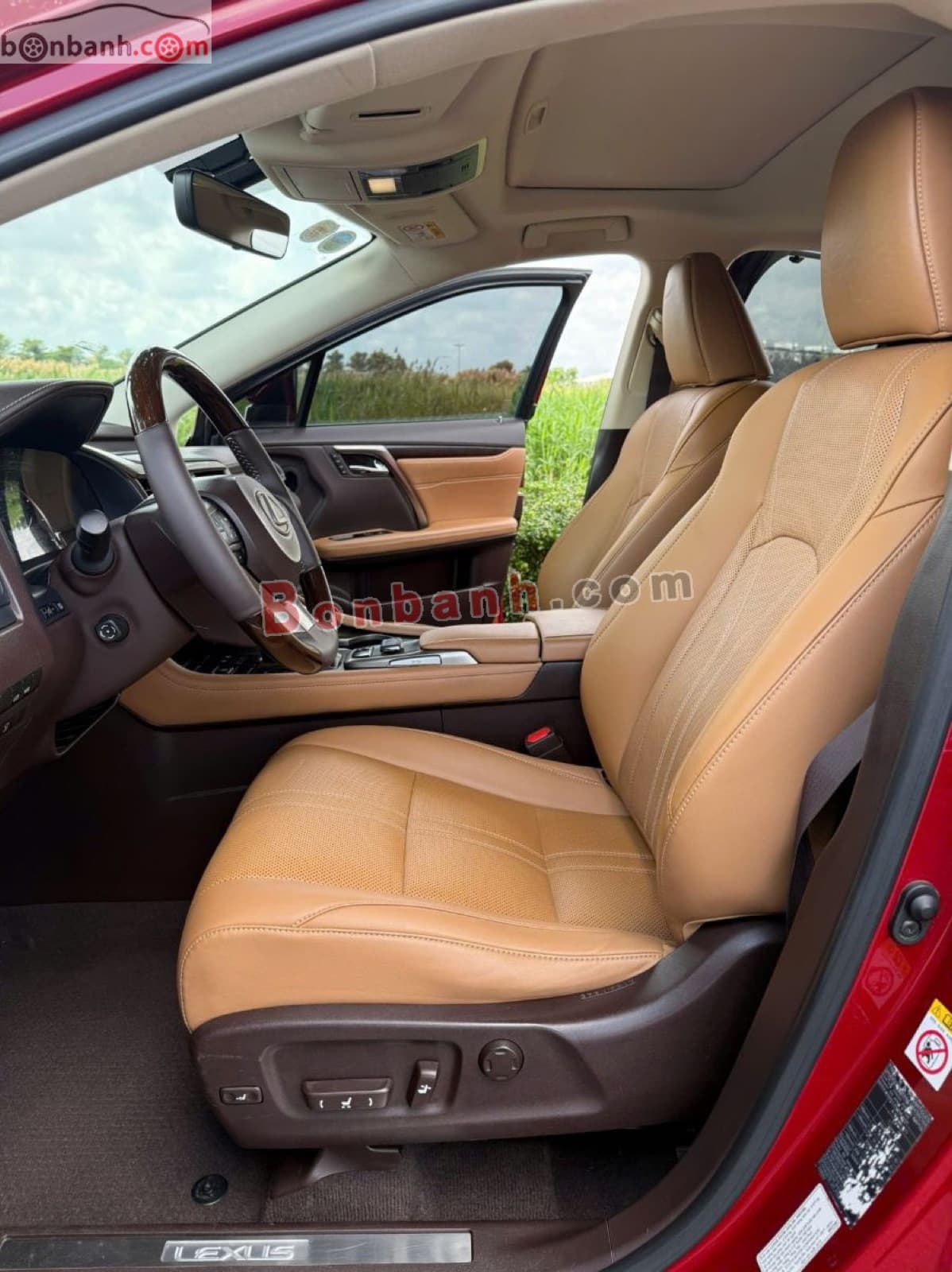 2019 Lexus RX 350 - ảnh nhỏ 8
