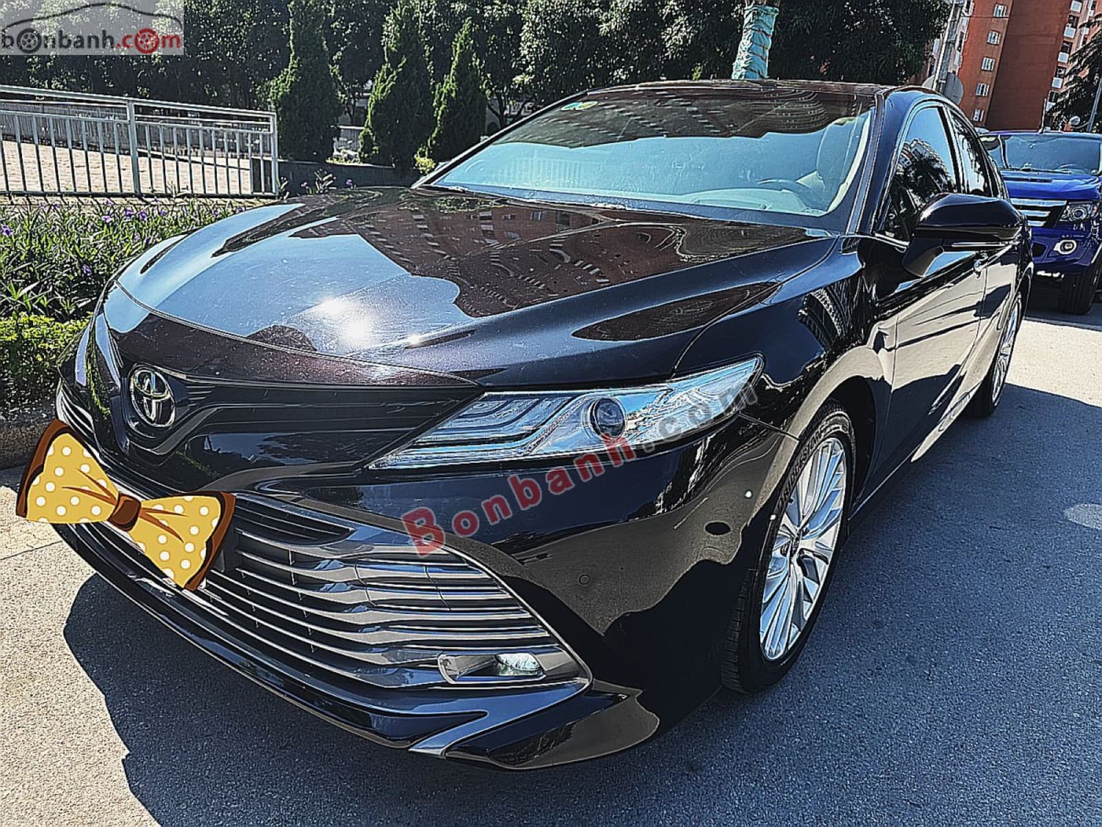 2020 Toyota Camry 2.5Q - ảnh nhỏ 3