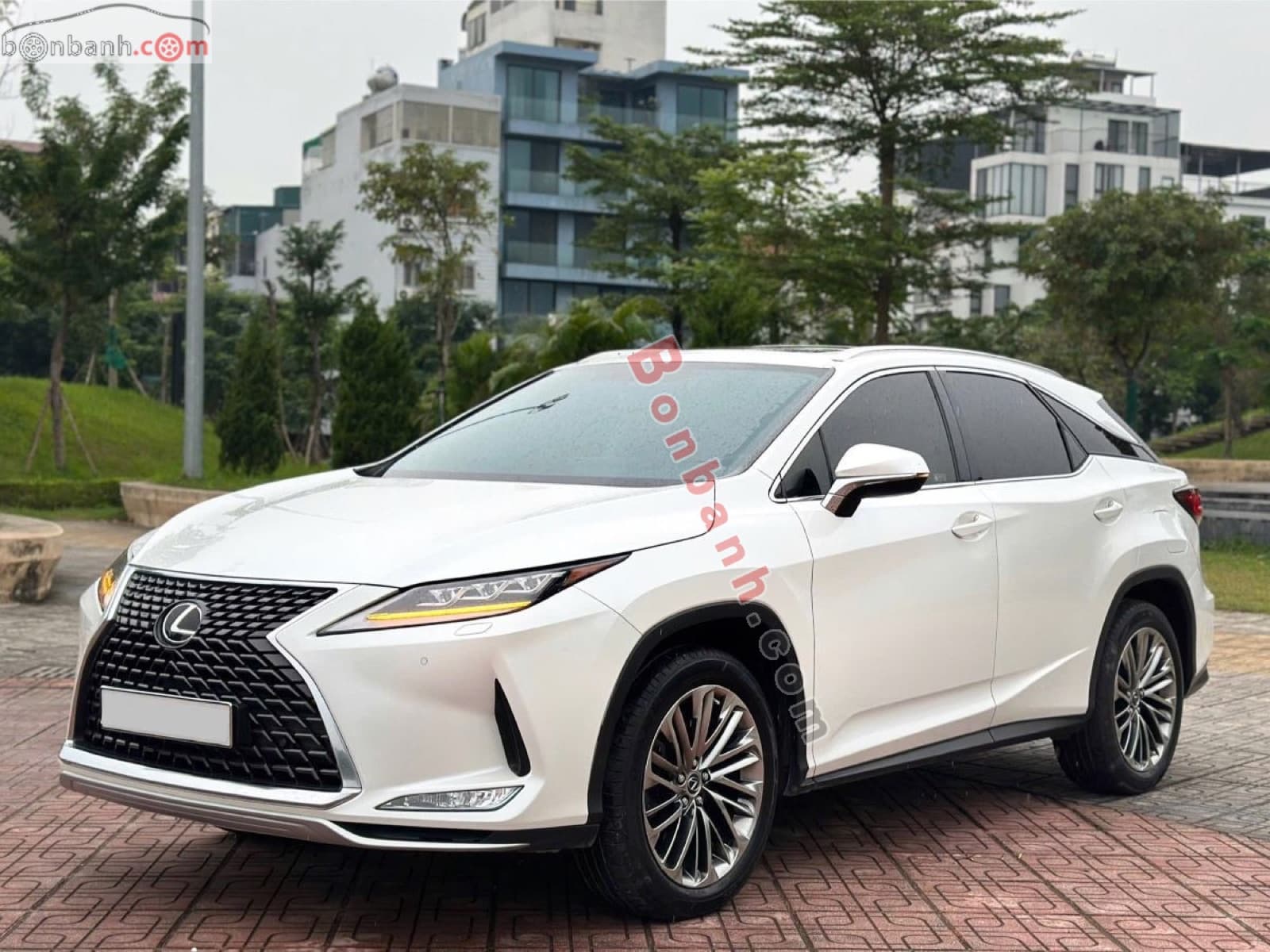2022 Lexus RX 300 - ảnh nhỏ 2