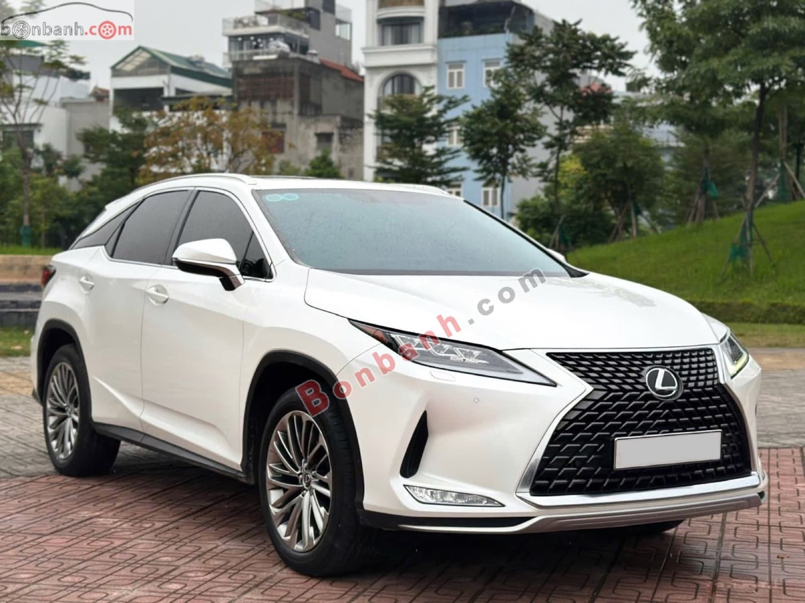 2022 Lexus RX 300 - ảnh nhỏ 3
