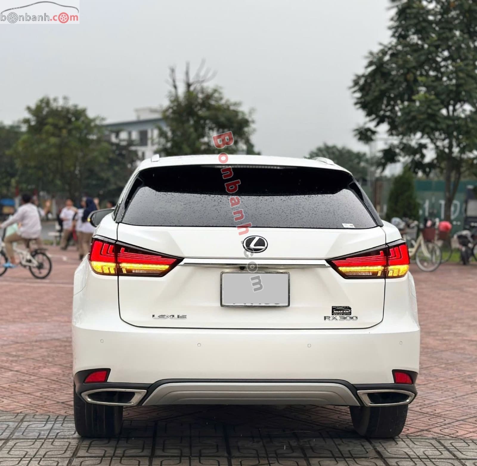 2022 Lexus RX 300 - ảnh nhỏ 6