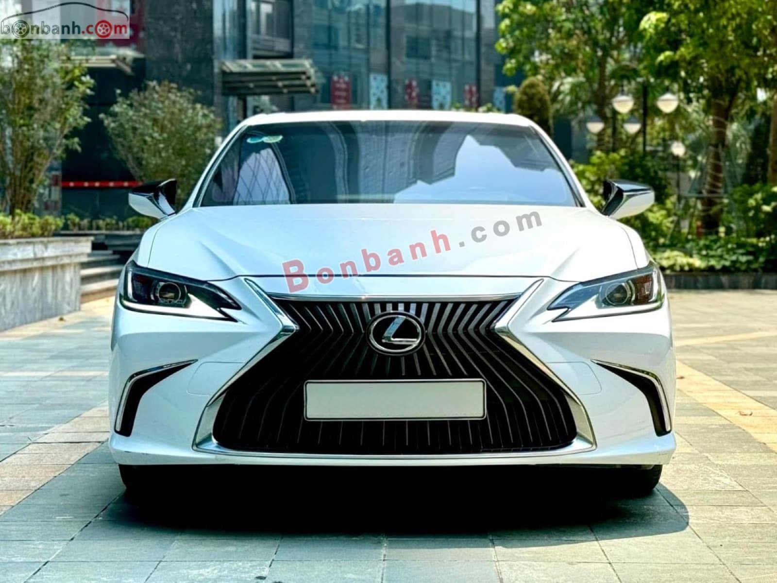 2019 Lexus ES 250