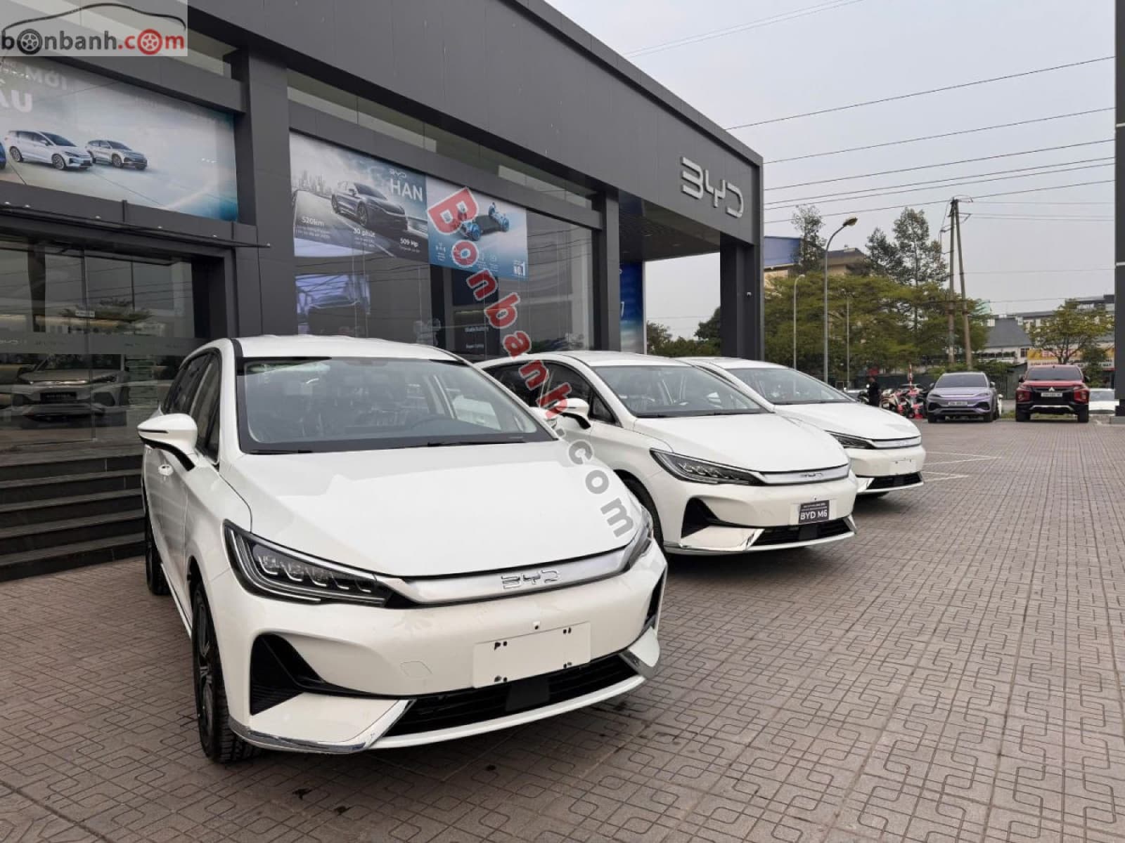 2025 BYD M6 Standard - ảnh nhỏ 3