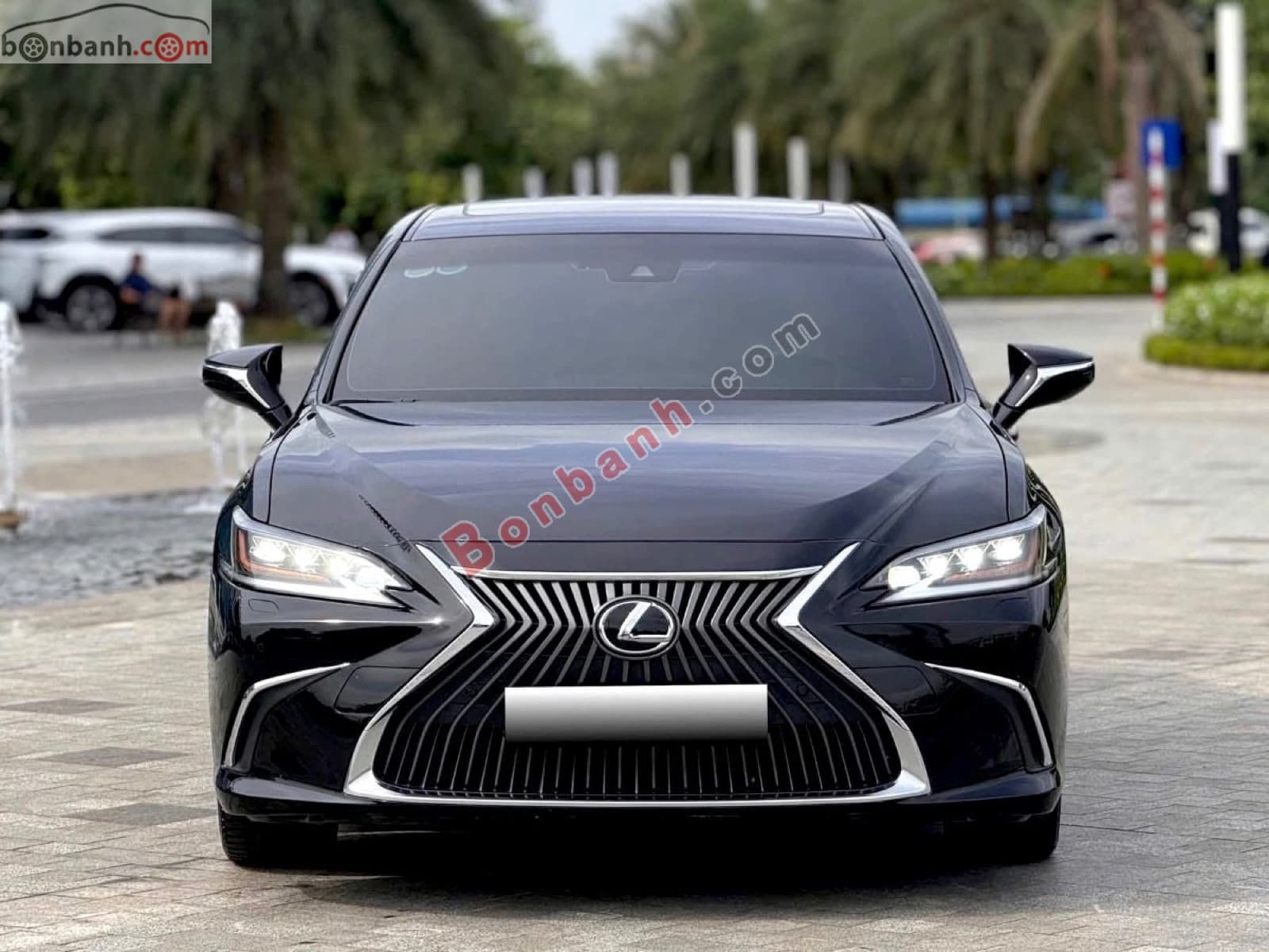 2020 Lexus ES 250