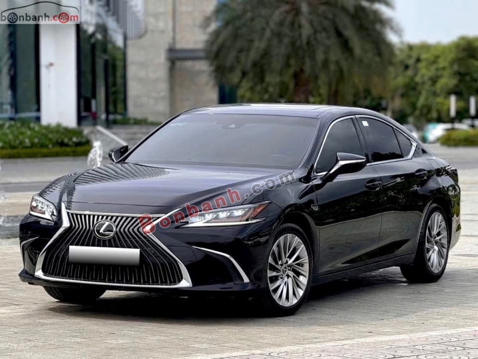 2020 Lexus ES 250 - ảnh nhỏ 2