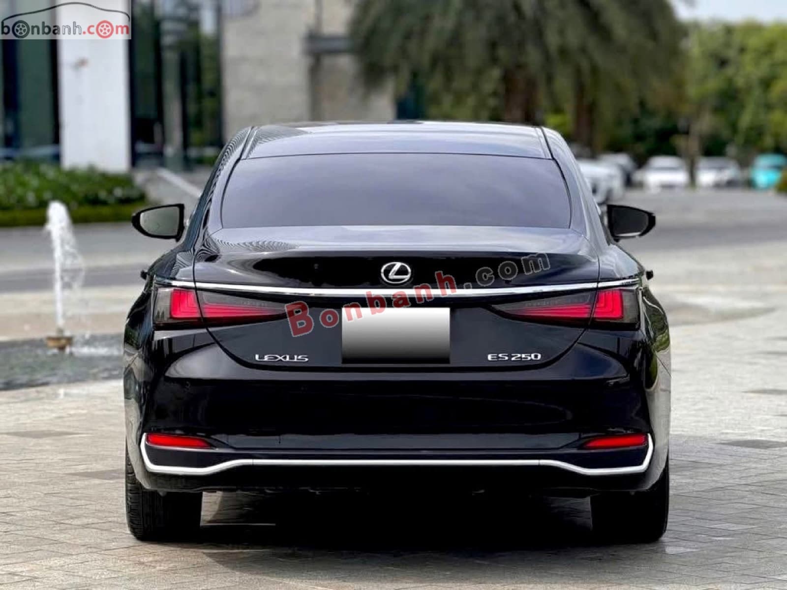 2020 Lexus ES 250 - ảnh nhỏ 4