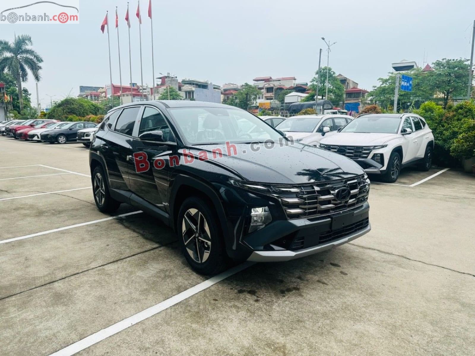 2026 Hyundai Tucson 2.0 AT Đặc biệt