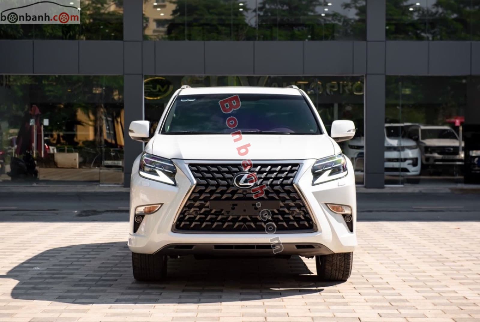 2021 Lexus GX 460