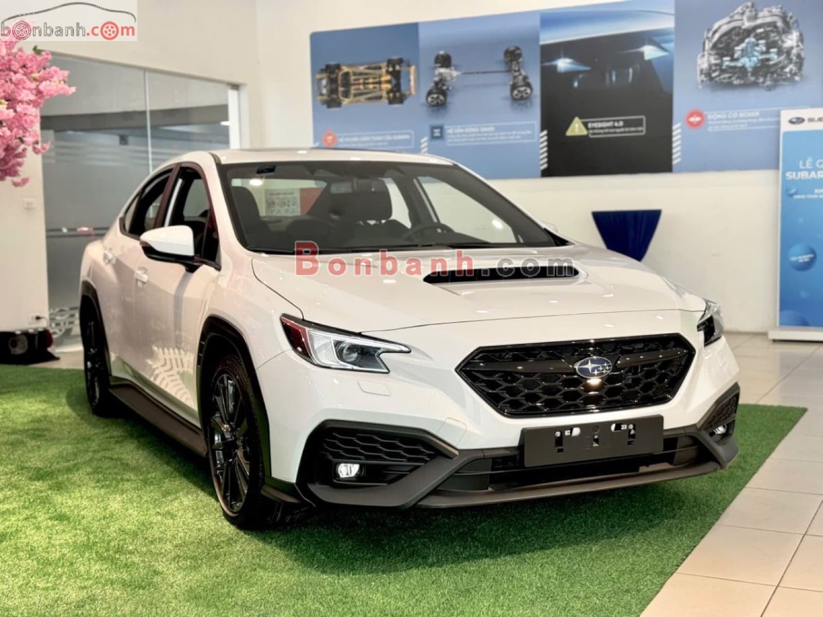 2025 Subaru WRX 2.4 CVT EyeSight