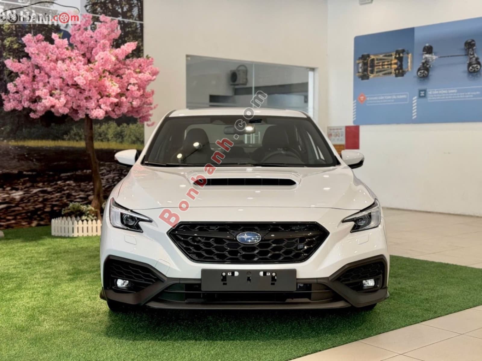 2025 Subaru WRX 2.4 CVT EyeSight - ảnh nhỏ 2