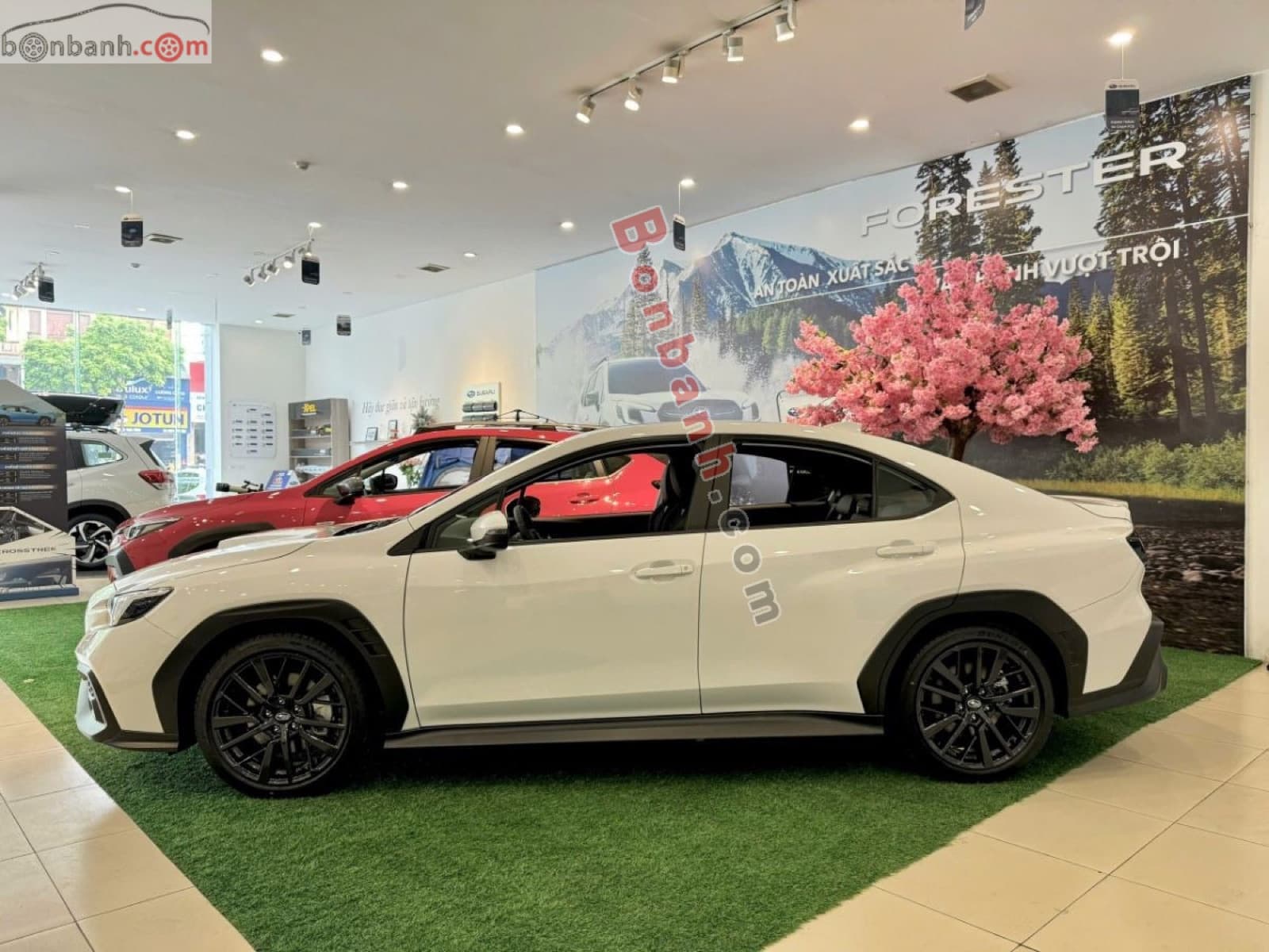 2025 Subaru WRX 2.4 CVT EyeSight - ảnh nhỏ 3