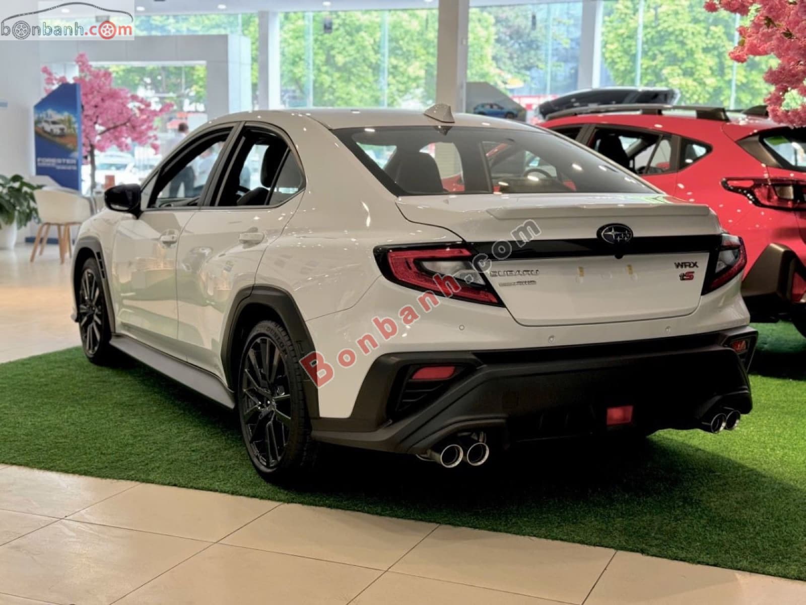 2025 Subaru WRX 2.4 CVT EyeSight - ảnh nhỏ 4