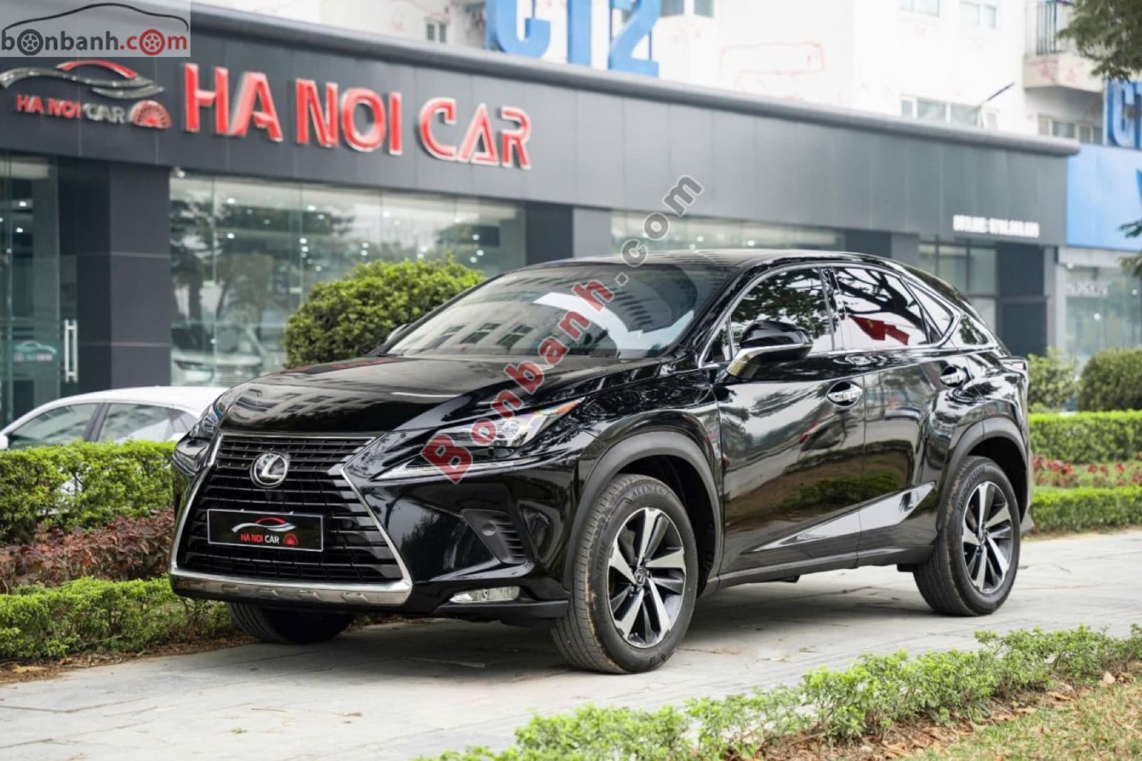 2019 Lexus NX 300