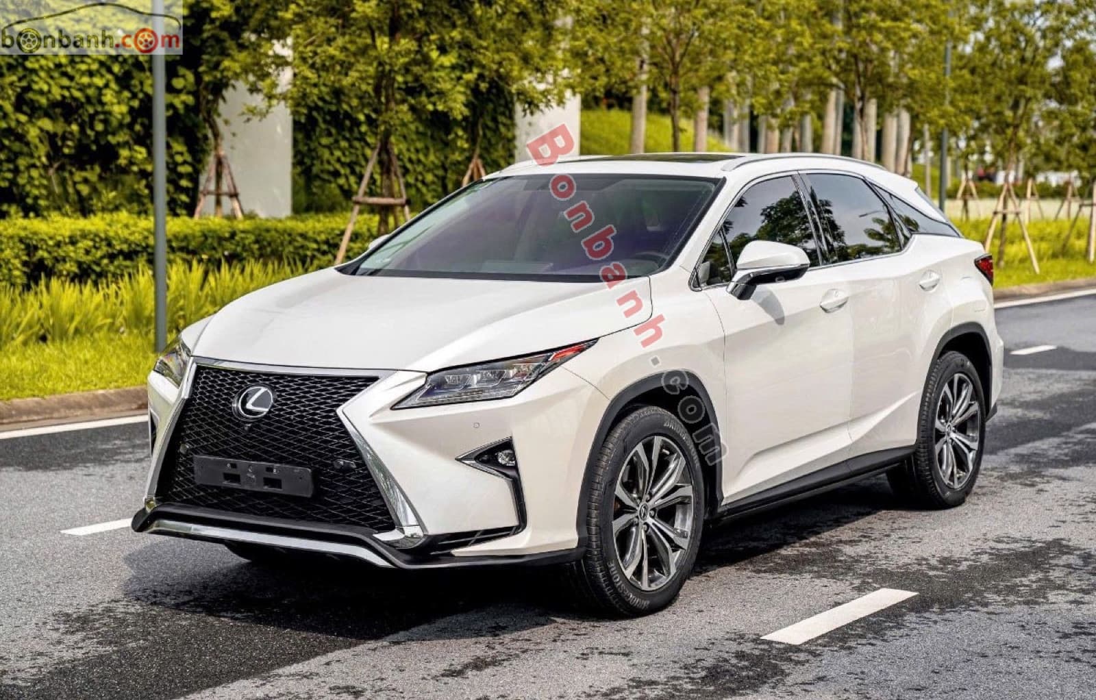 2019 Lexus RX 350