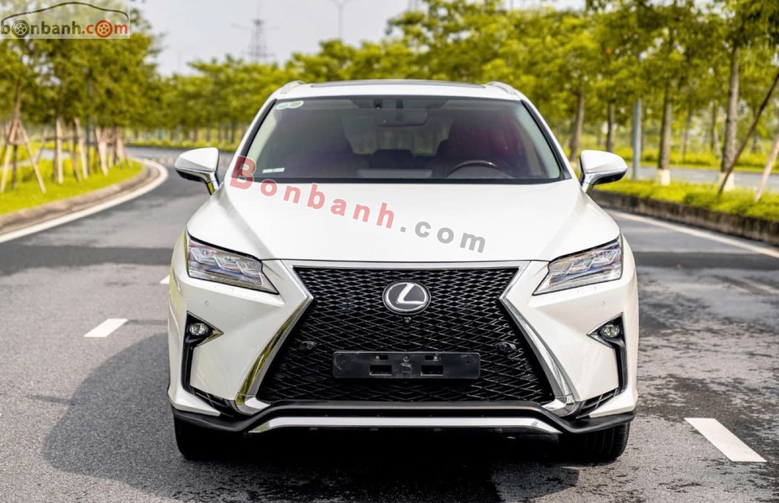 2019 Lexus RX 350