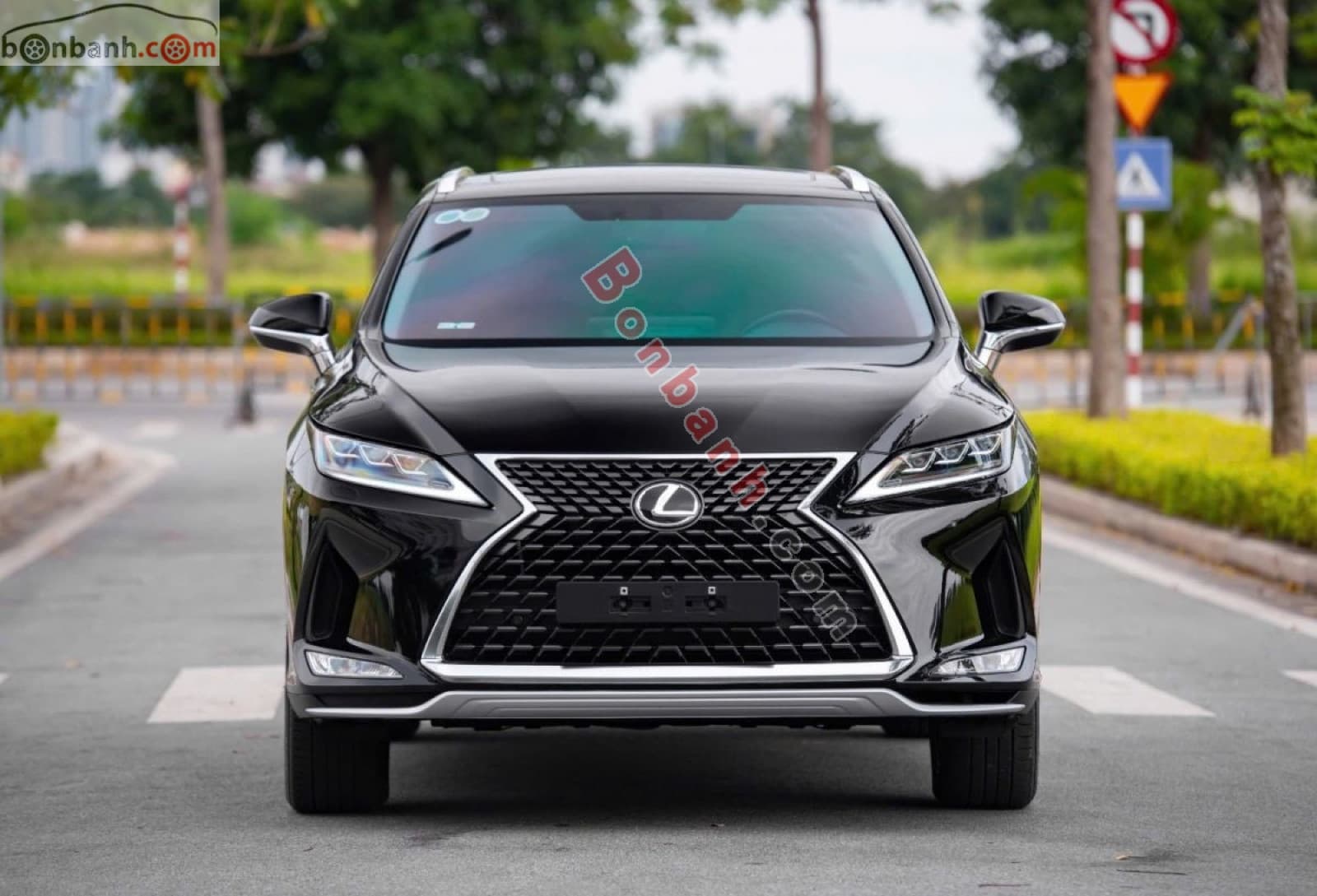 2019 Lexus RX 300 - ảnh nhỏ 2