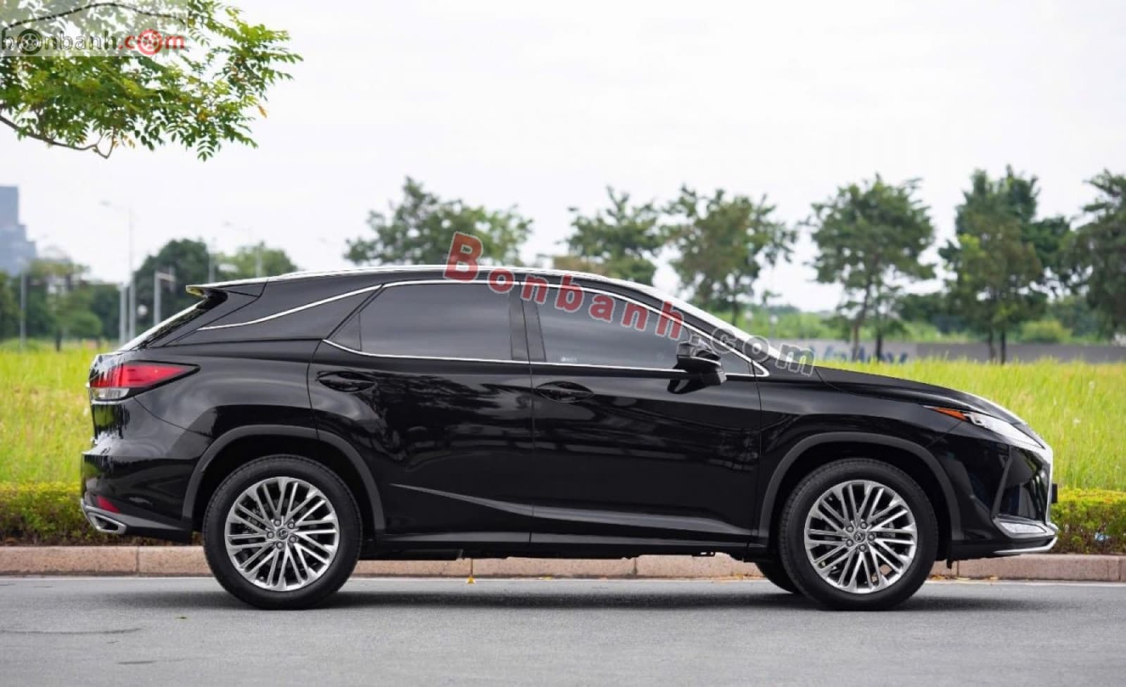 2019 Lexus RX 300 - ảnh nhỏ 3