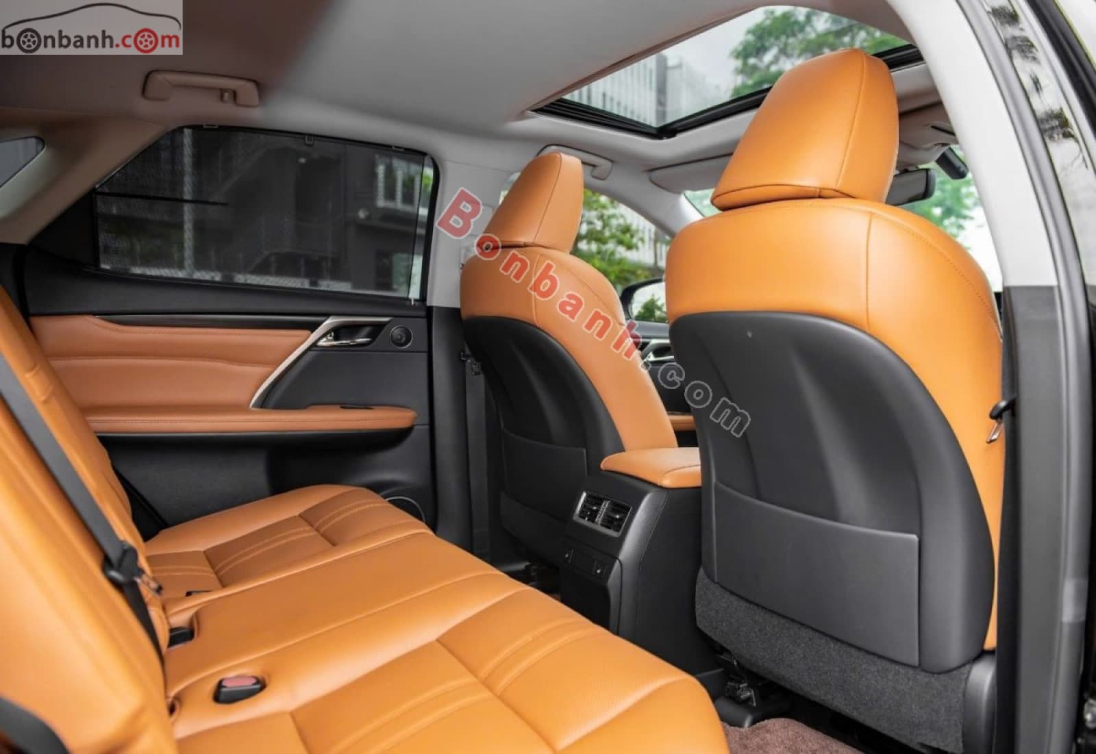 2019 Lexus RX 300 - ảnh nhỏ 8