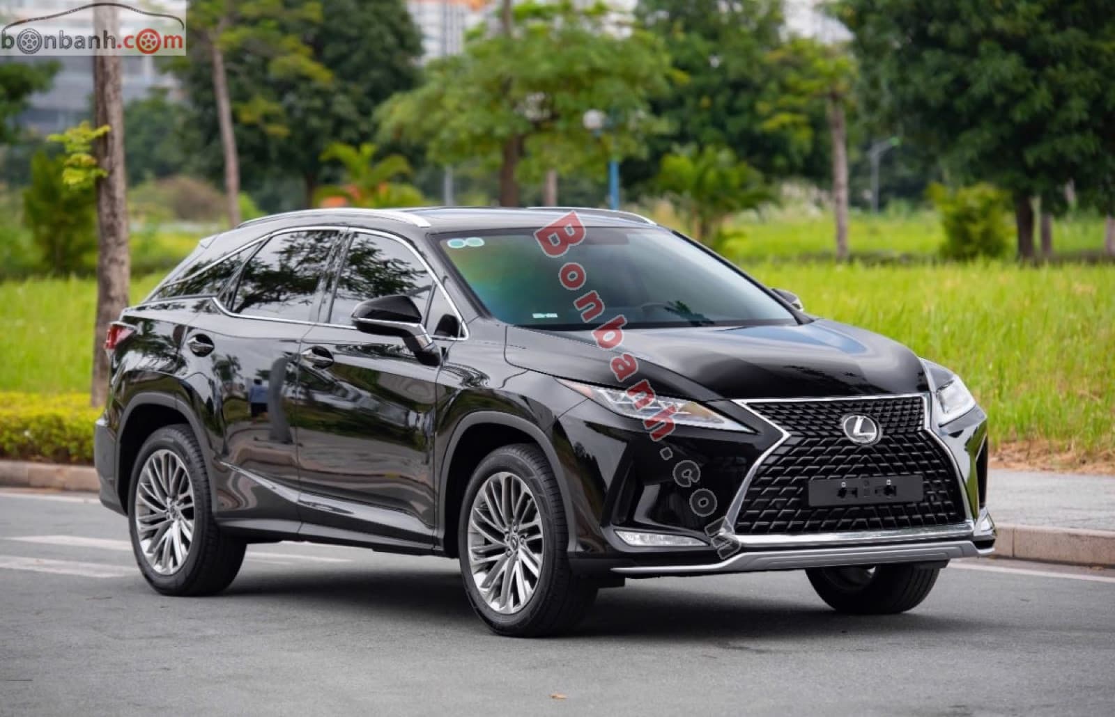 2019 Lexus RX 300 - ảnh nhỏ 3